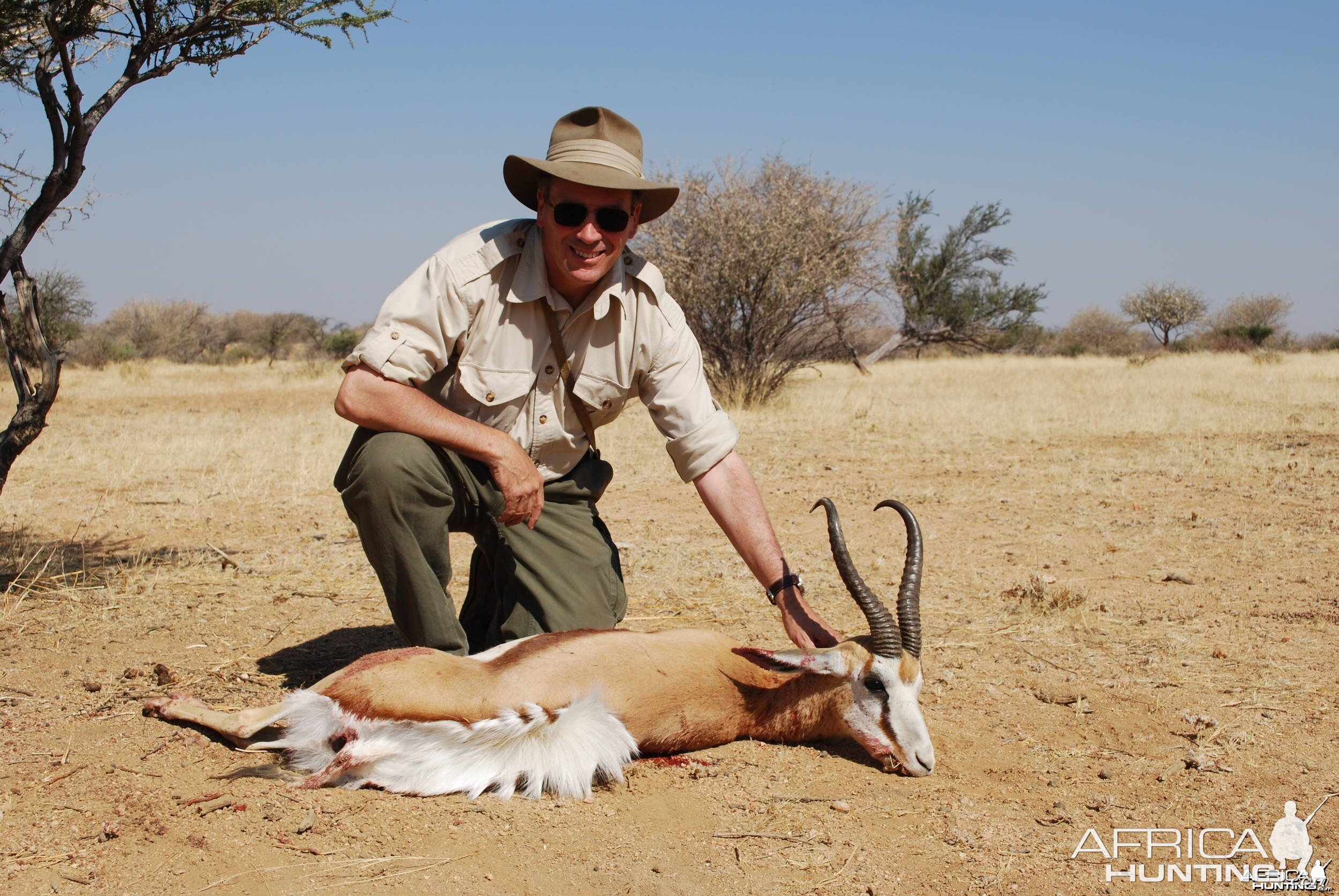 Gold Medal Springbok