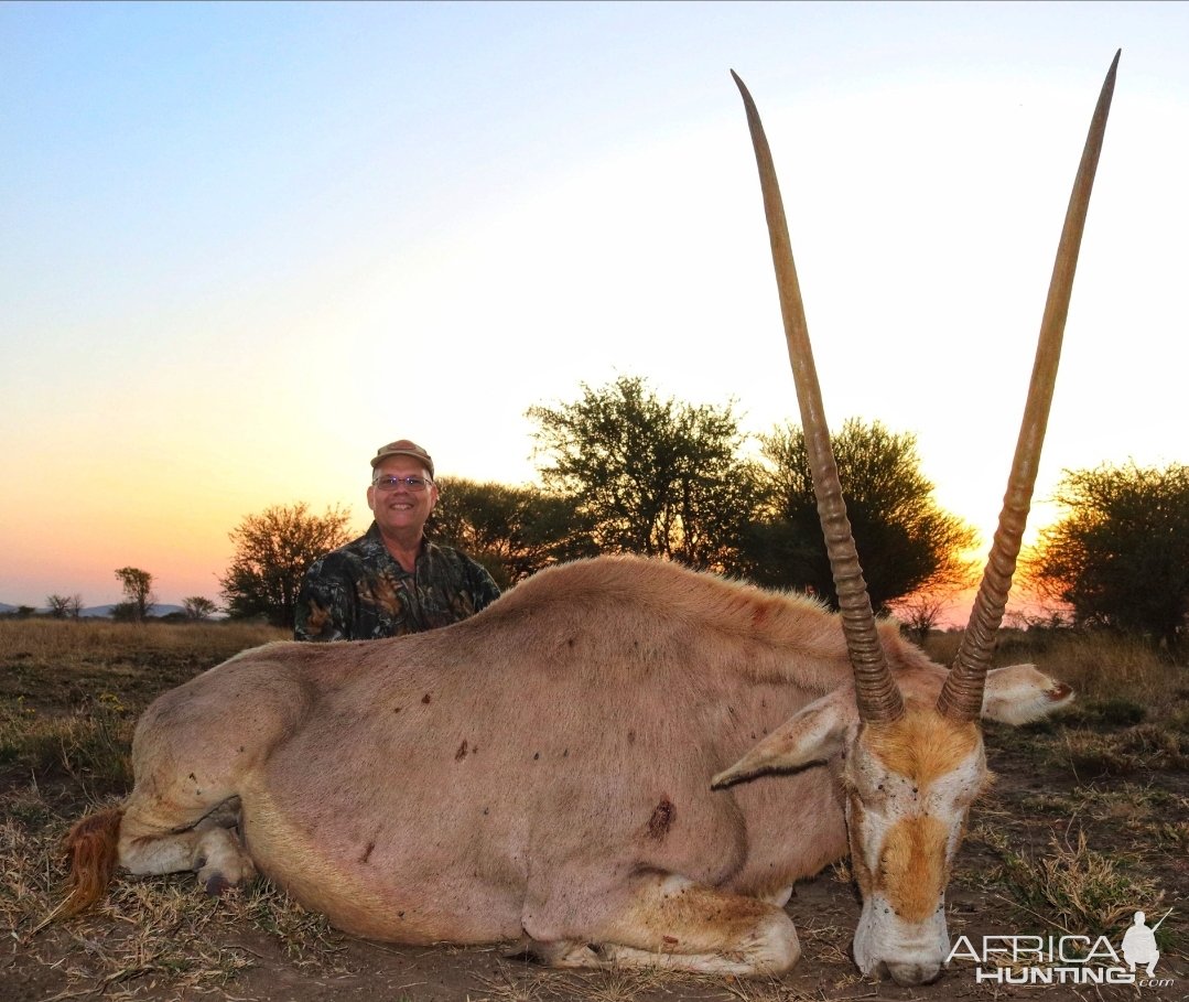 Golden Gemsbok Hunt South Africa