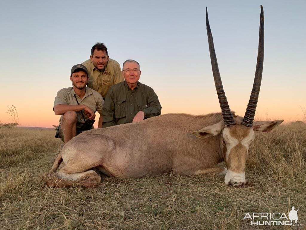 Golden Gemsbok Hunt South Africa