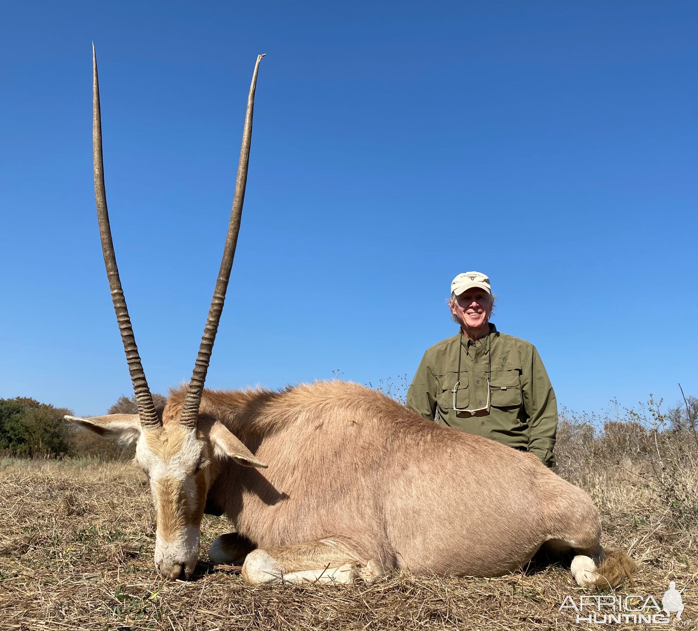 Golden Gemsbuck Hunt South Africa