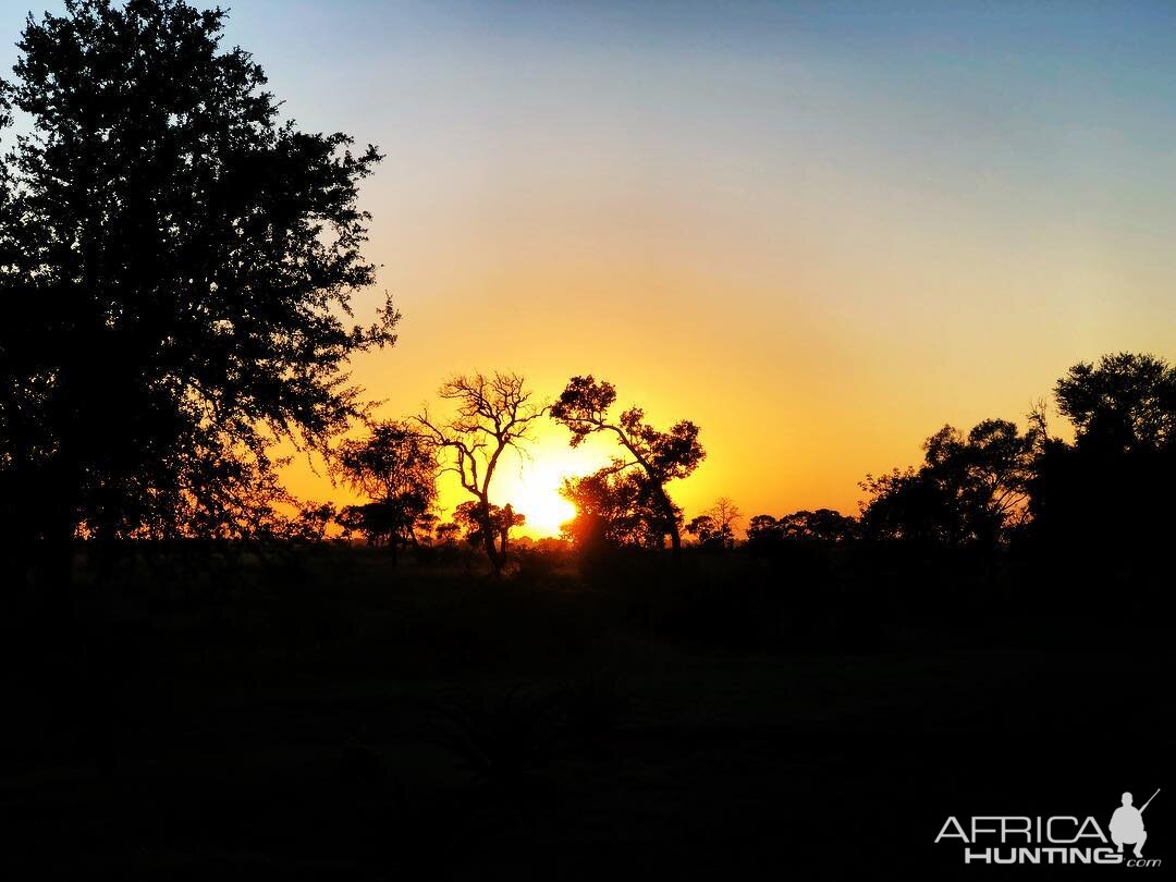 Golden hour Mozambique