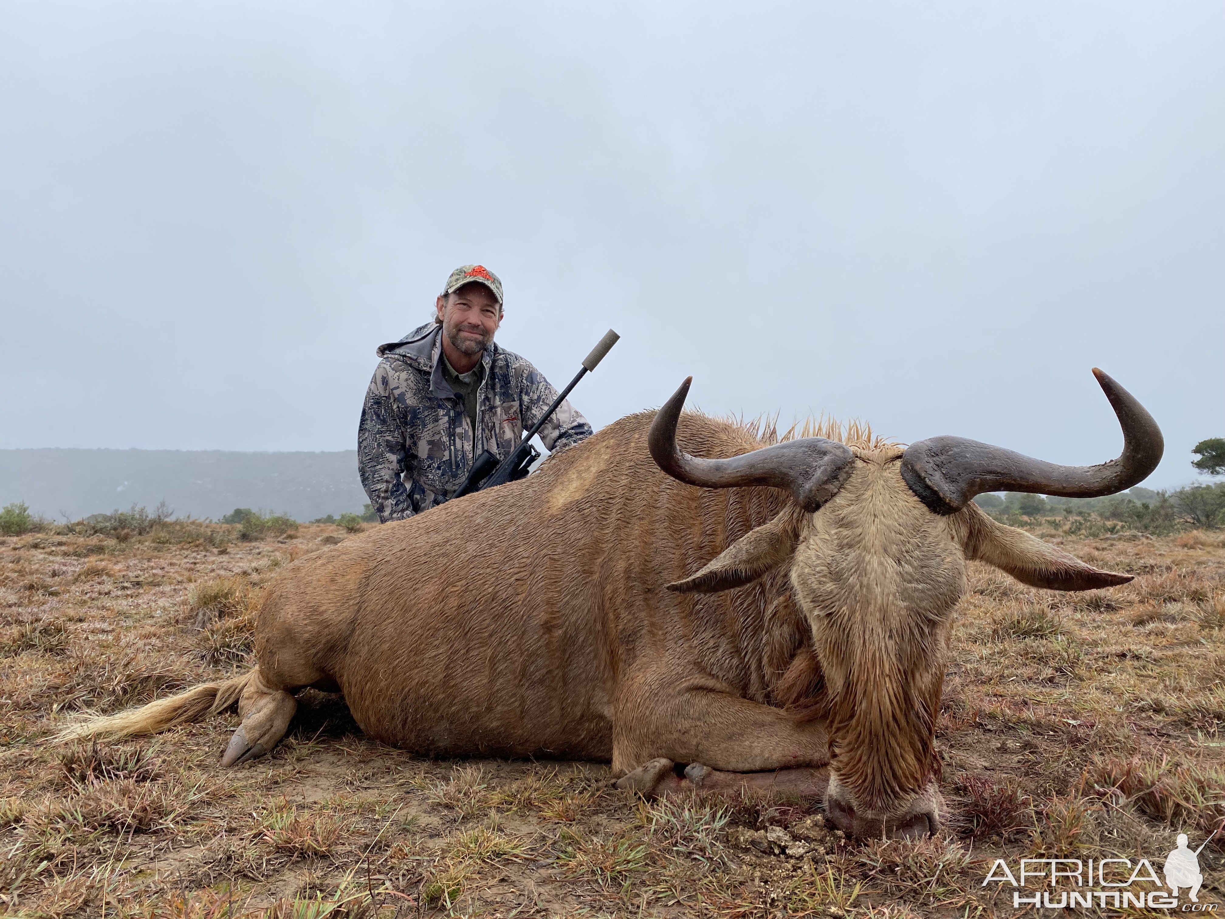 Golden Wilde Beest Hunt Eastern Cape South Africa