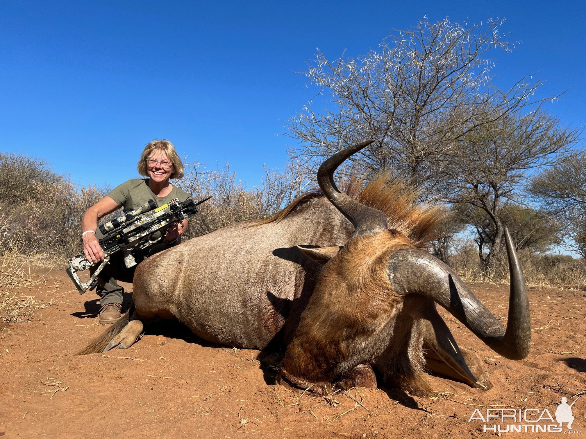 Golden Wildebeest Bow Hunt