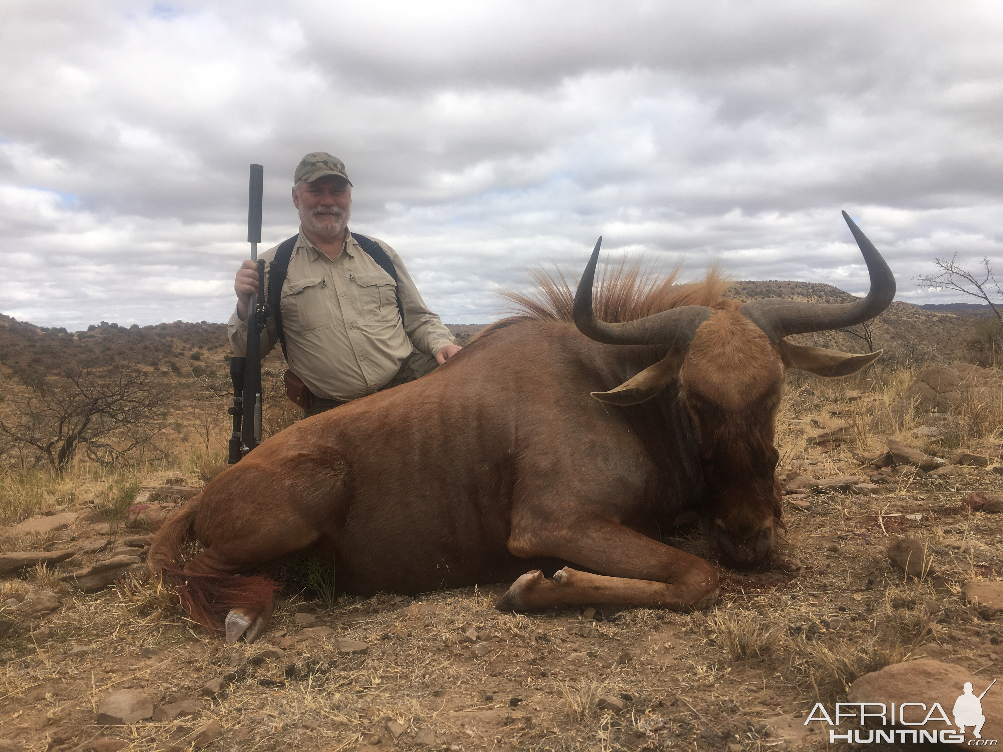 Golden Wildebeest Hunt Eastern Cape South Africa