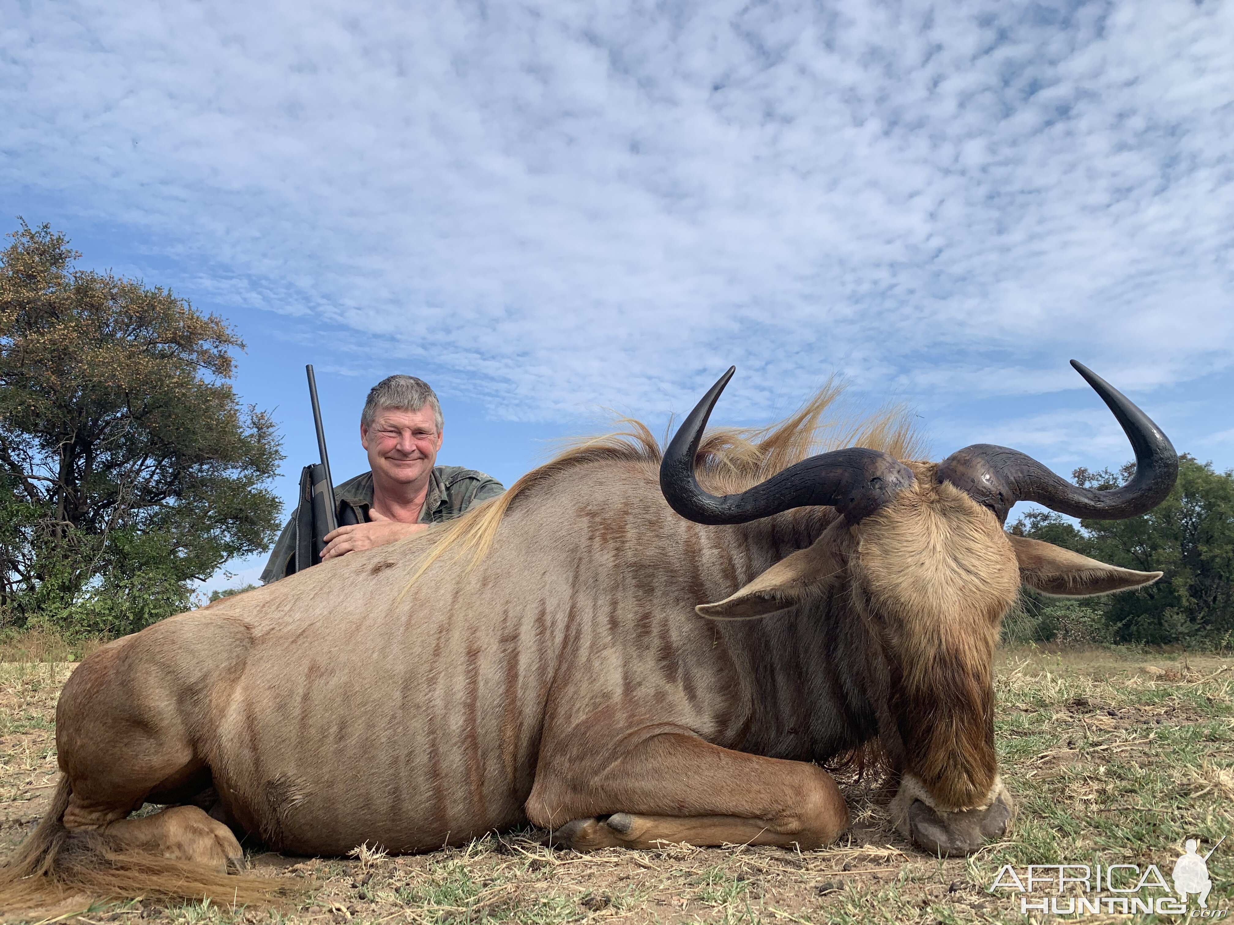 Golden Wildebeest Hunt South Africa