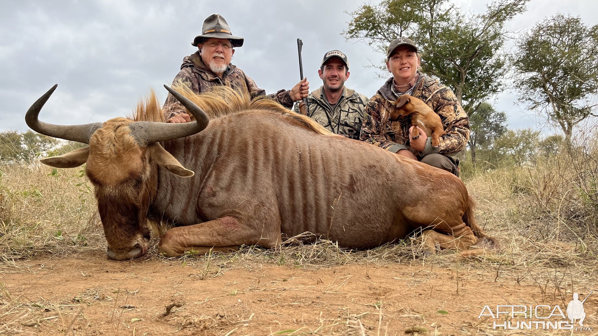 Golden Wildebeest Hunt South Africa