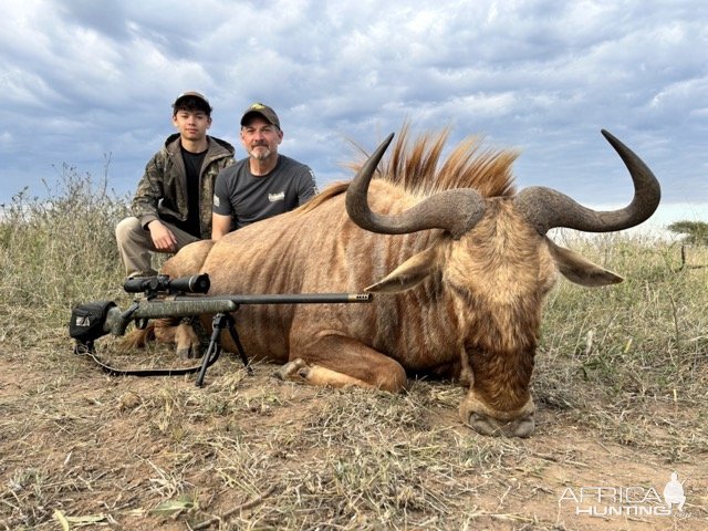 Golden Wildebeest Hunt South Africa