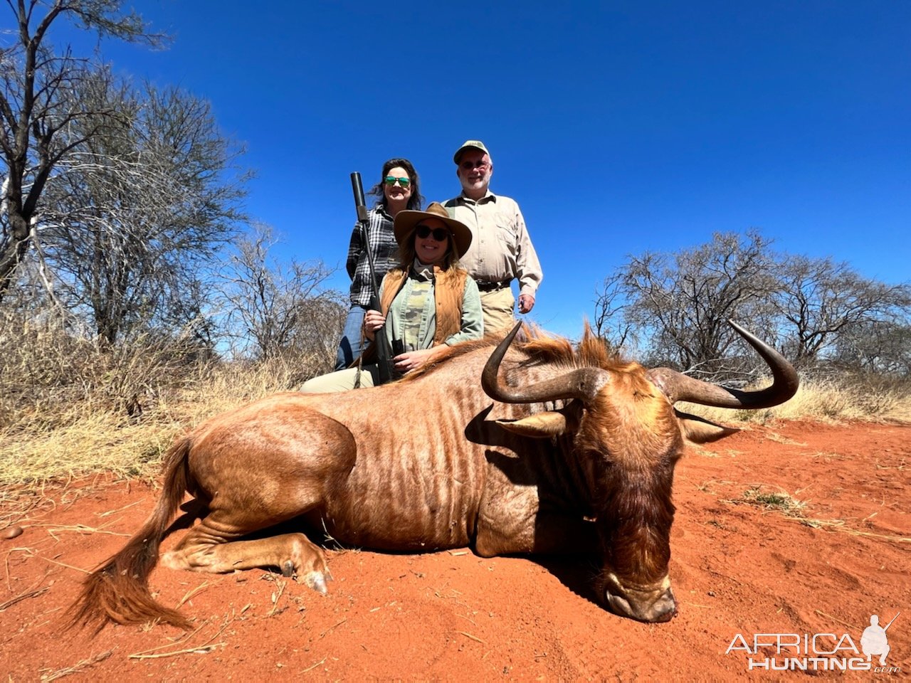 Golden Wildebeest Hunt South Africa