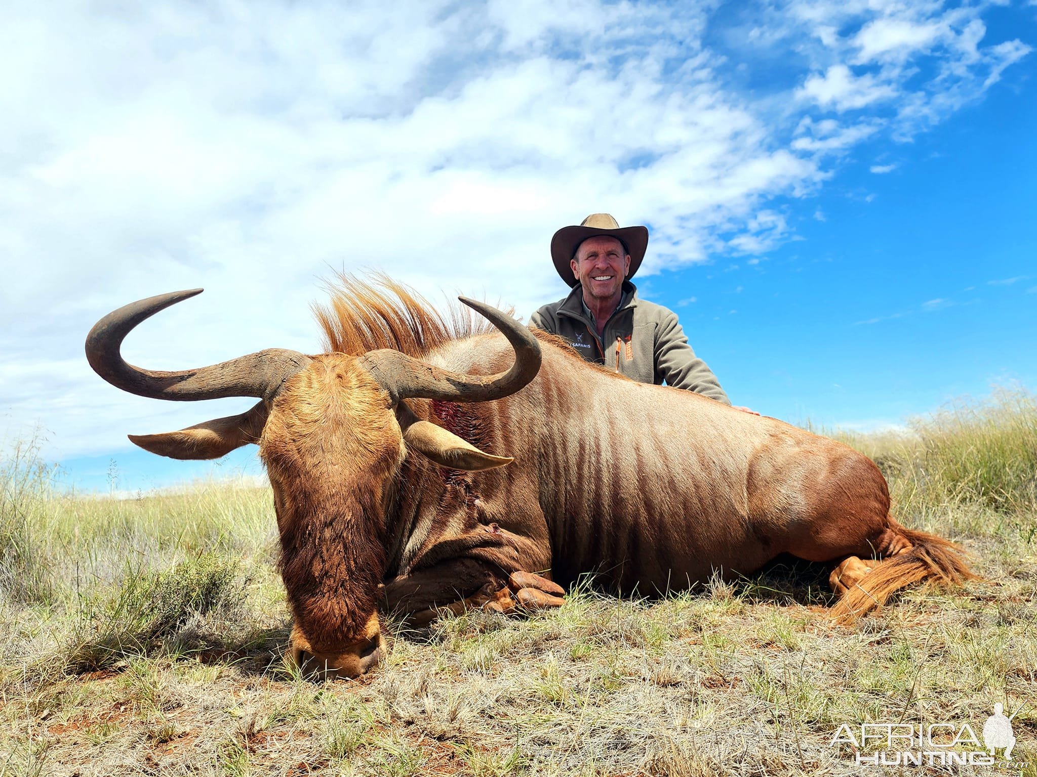 Golden Wildebeest Hunt South Africa