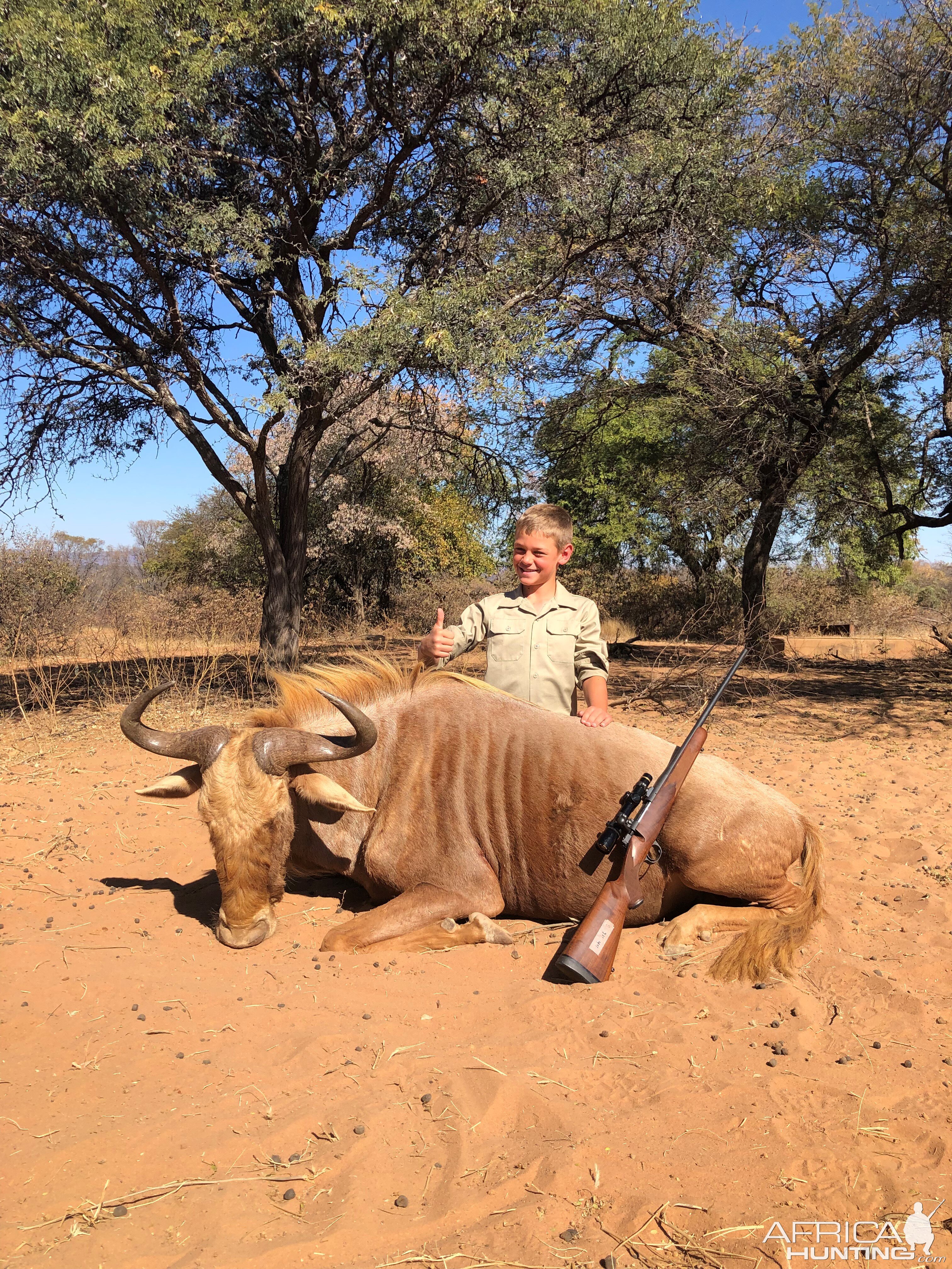 Golden Wildebeest Hunt