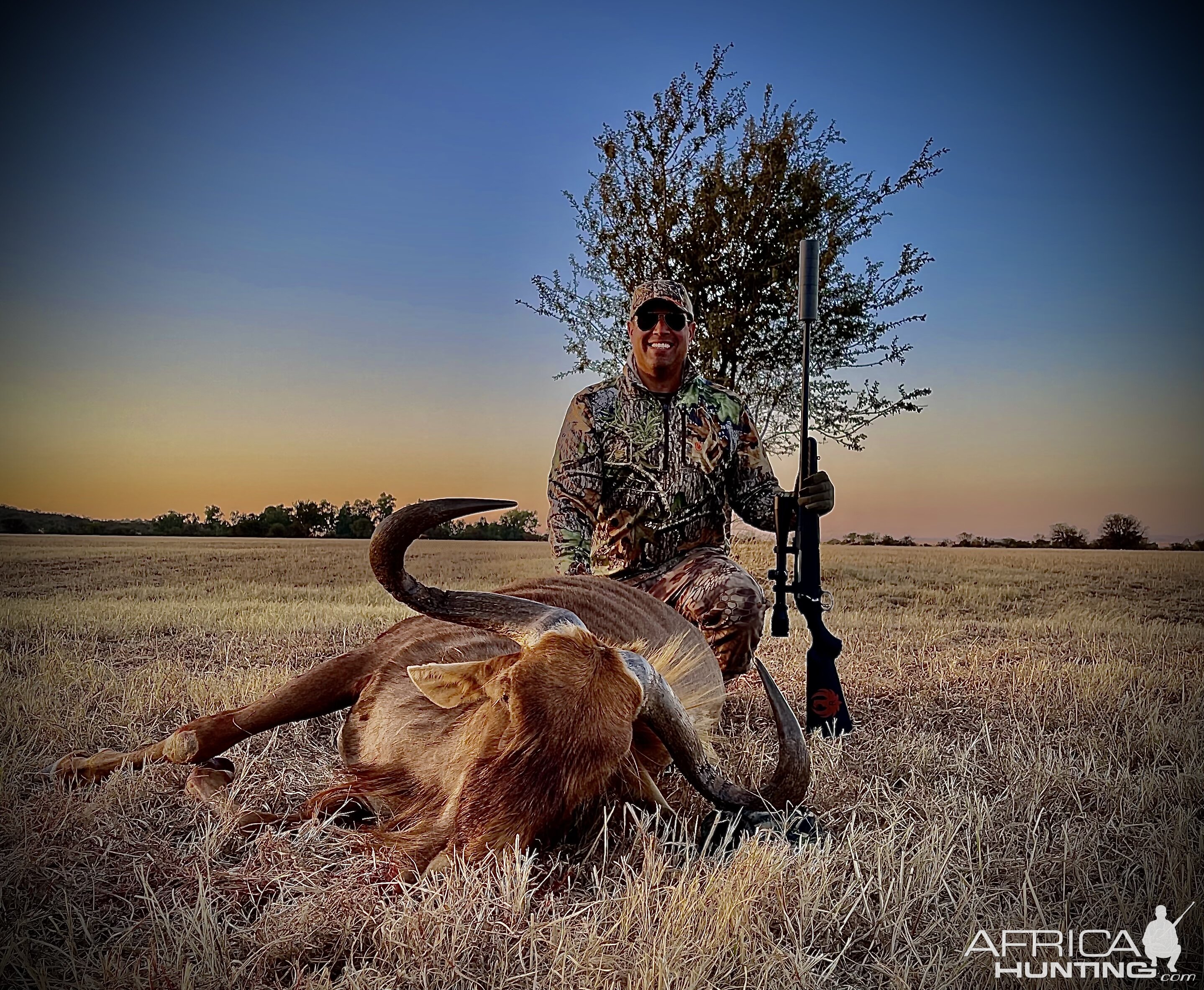 Golden Wildebeest Hunting South Africa