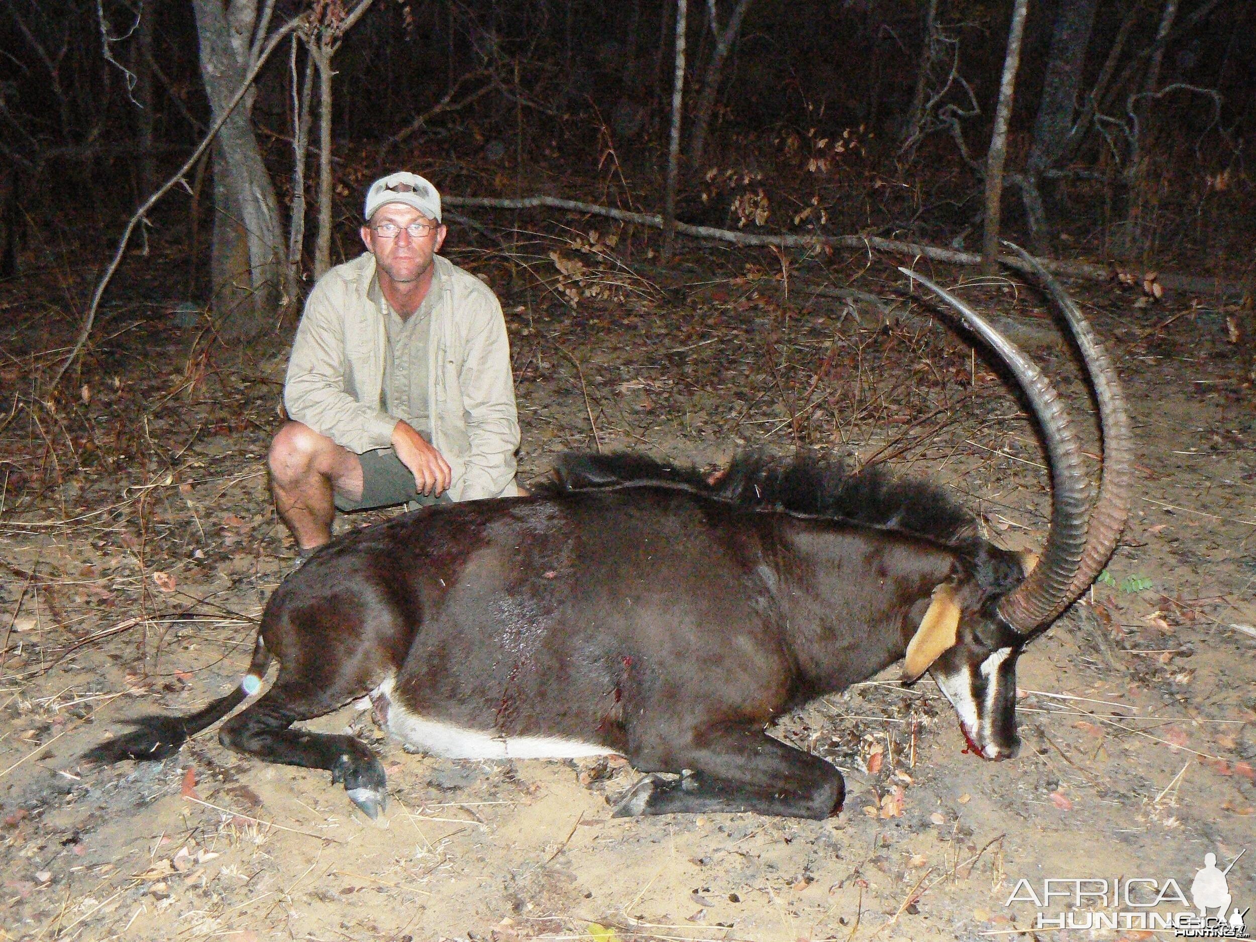 Good 39'' Sable from Selous