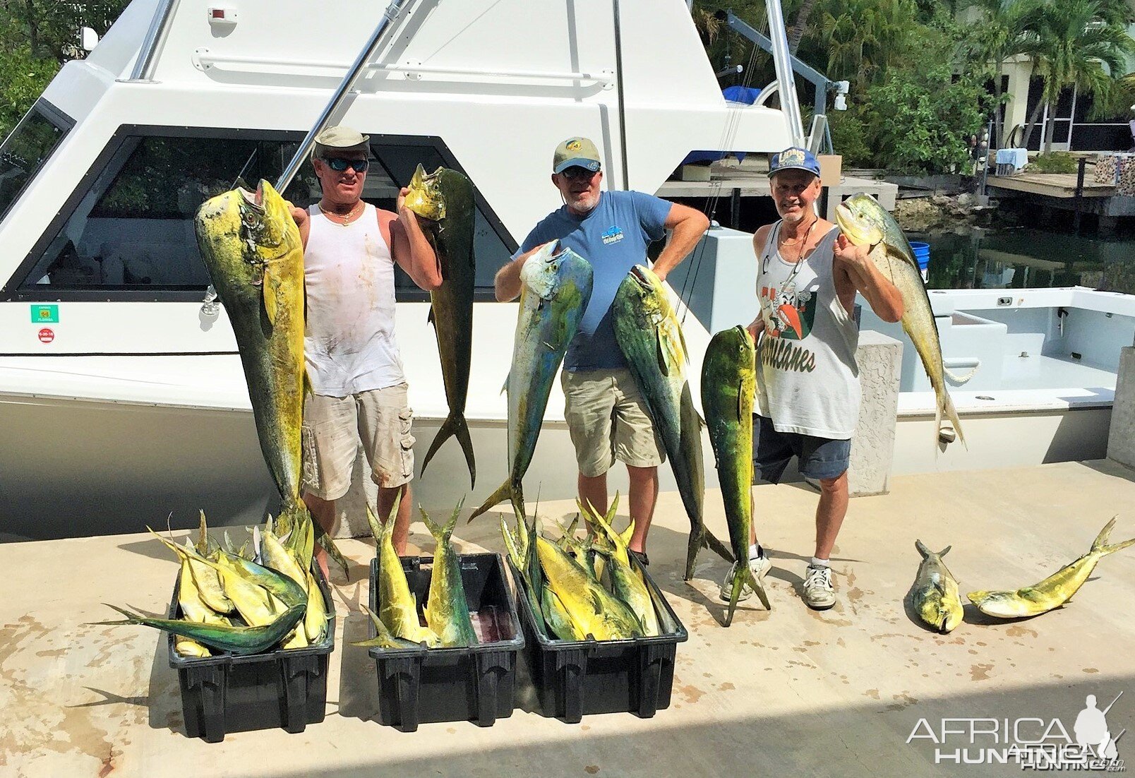 Good day on the Mahi, Florida Keys