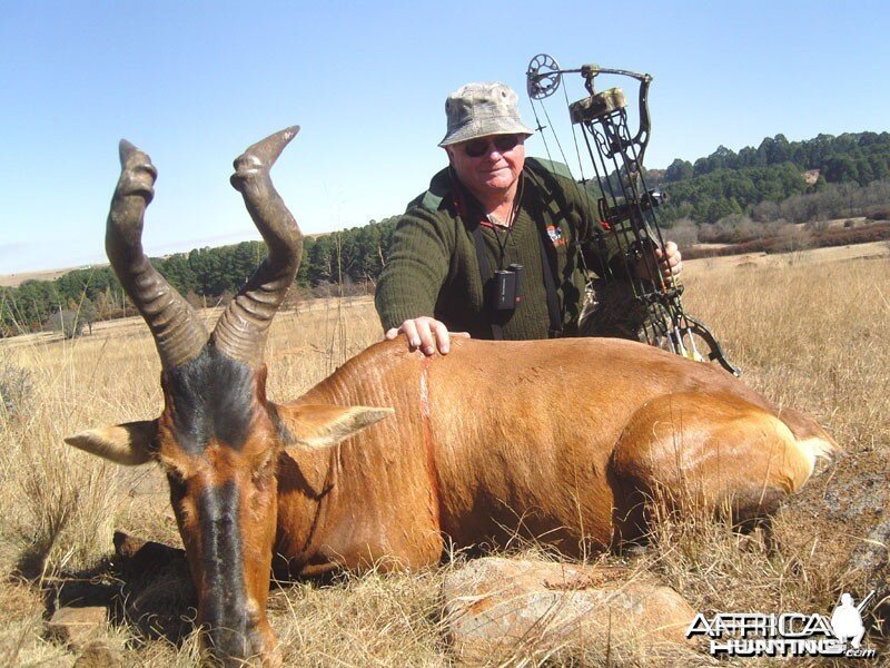 Good Hartebeest