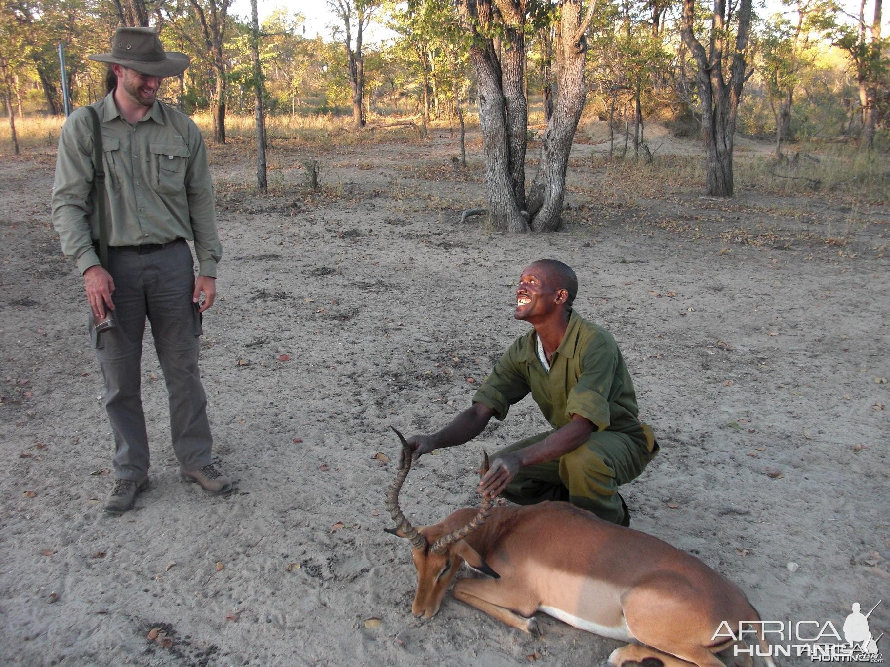 Good impala Zimbabwe