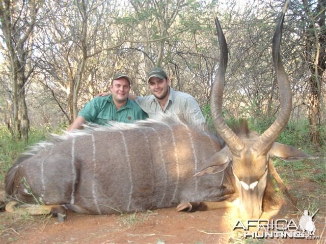 Good Trophy Nyala