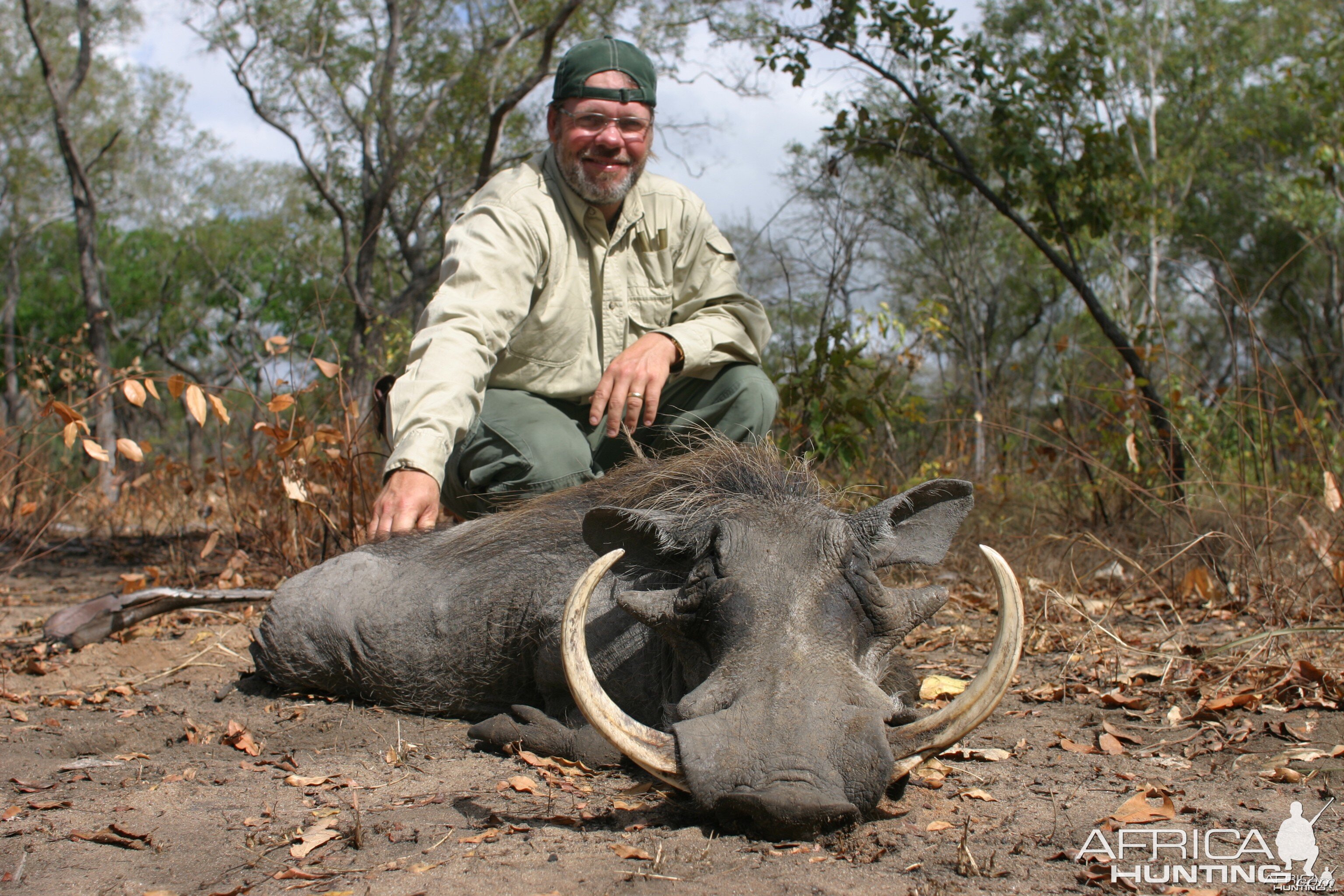 Good Warthog Selous Tanzania