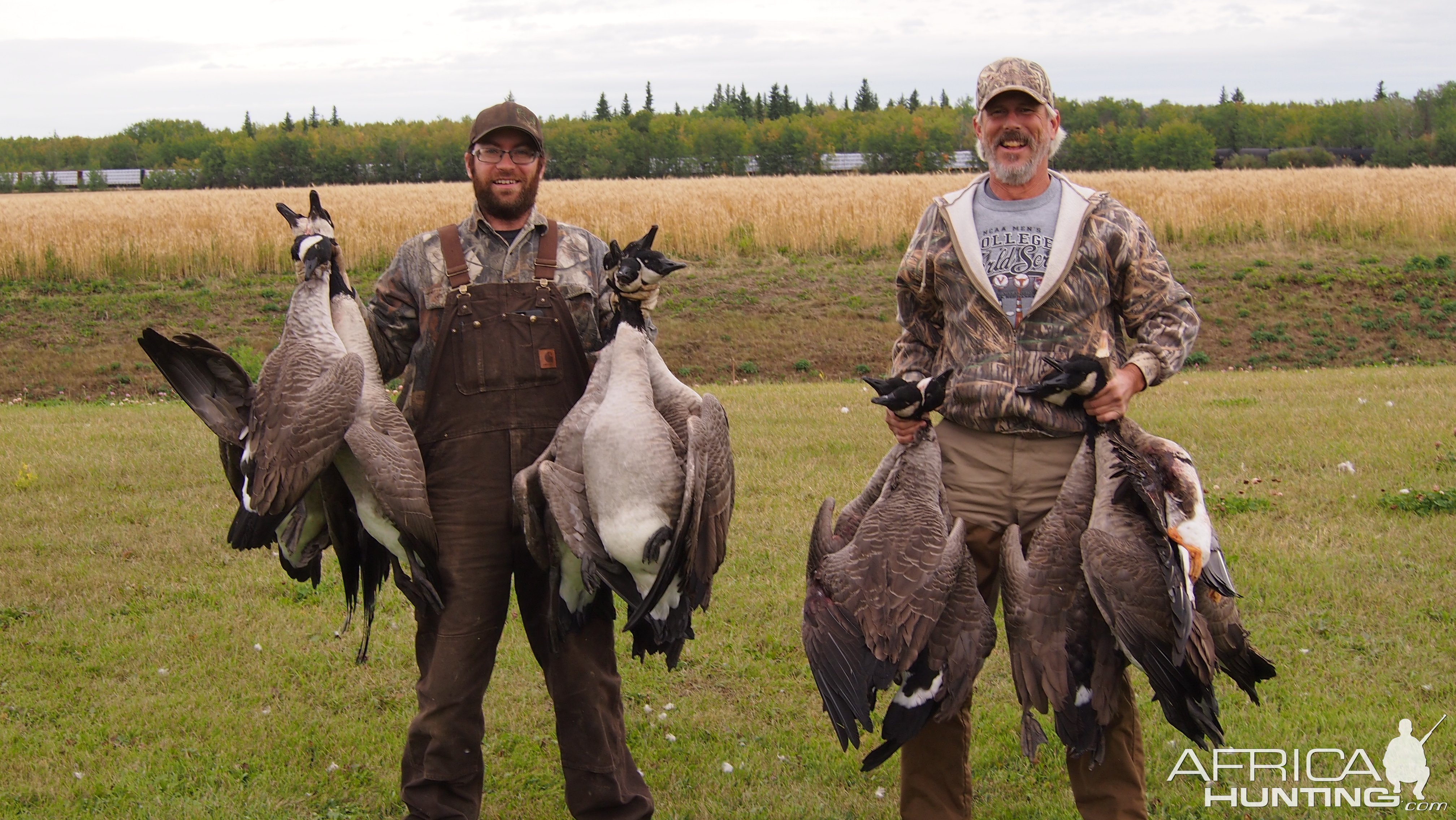 Goose Hunting Canada