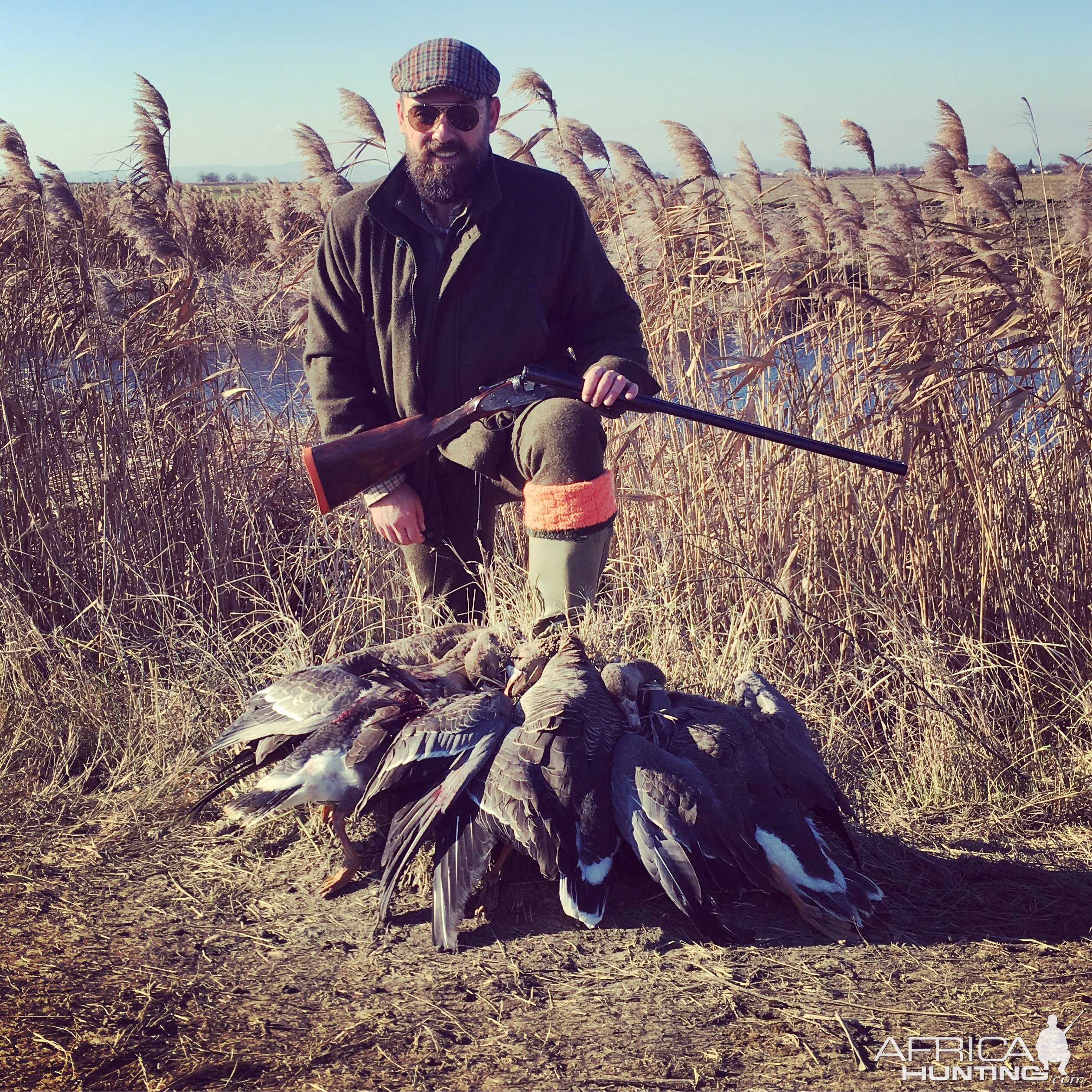 Goose hunting