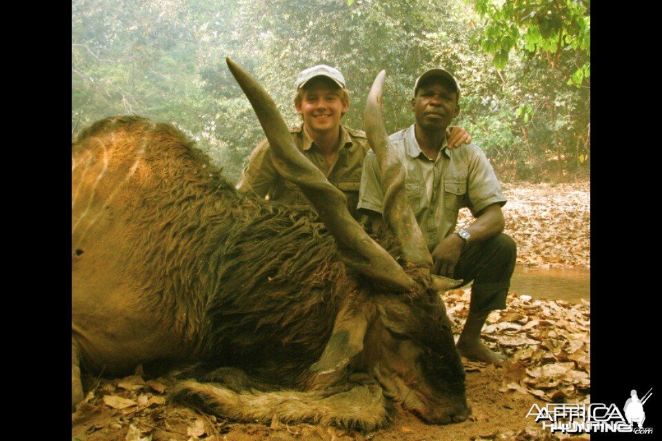 Grandpa' Lord Derby's Eland