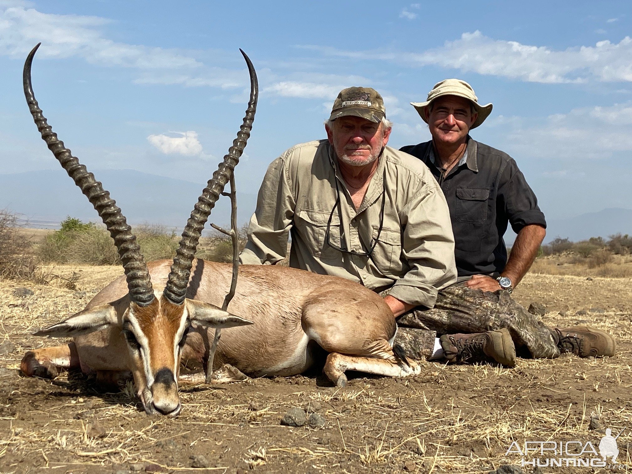 Grants Gazelle Hunt Tanzania