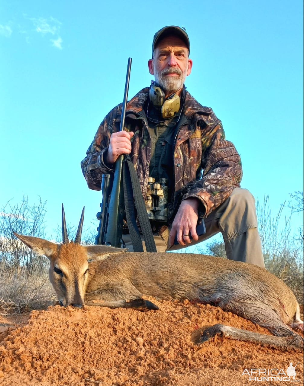 Gray Duiker Hunt South Africa