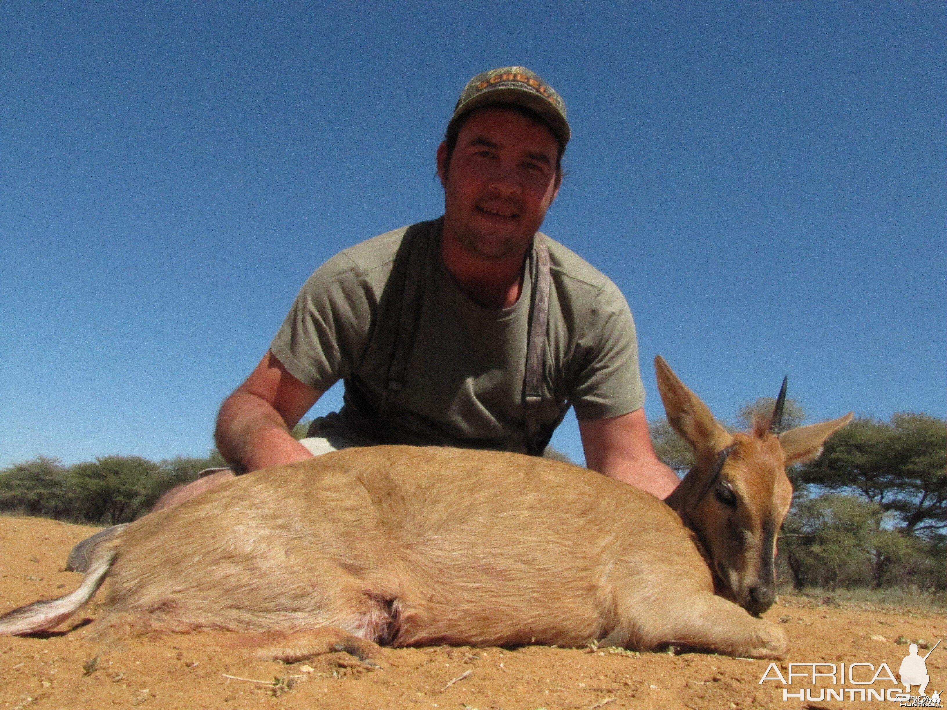 Gray Duiker hunted with Ozondjahe Hunting Safaris in Namibia