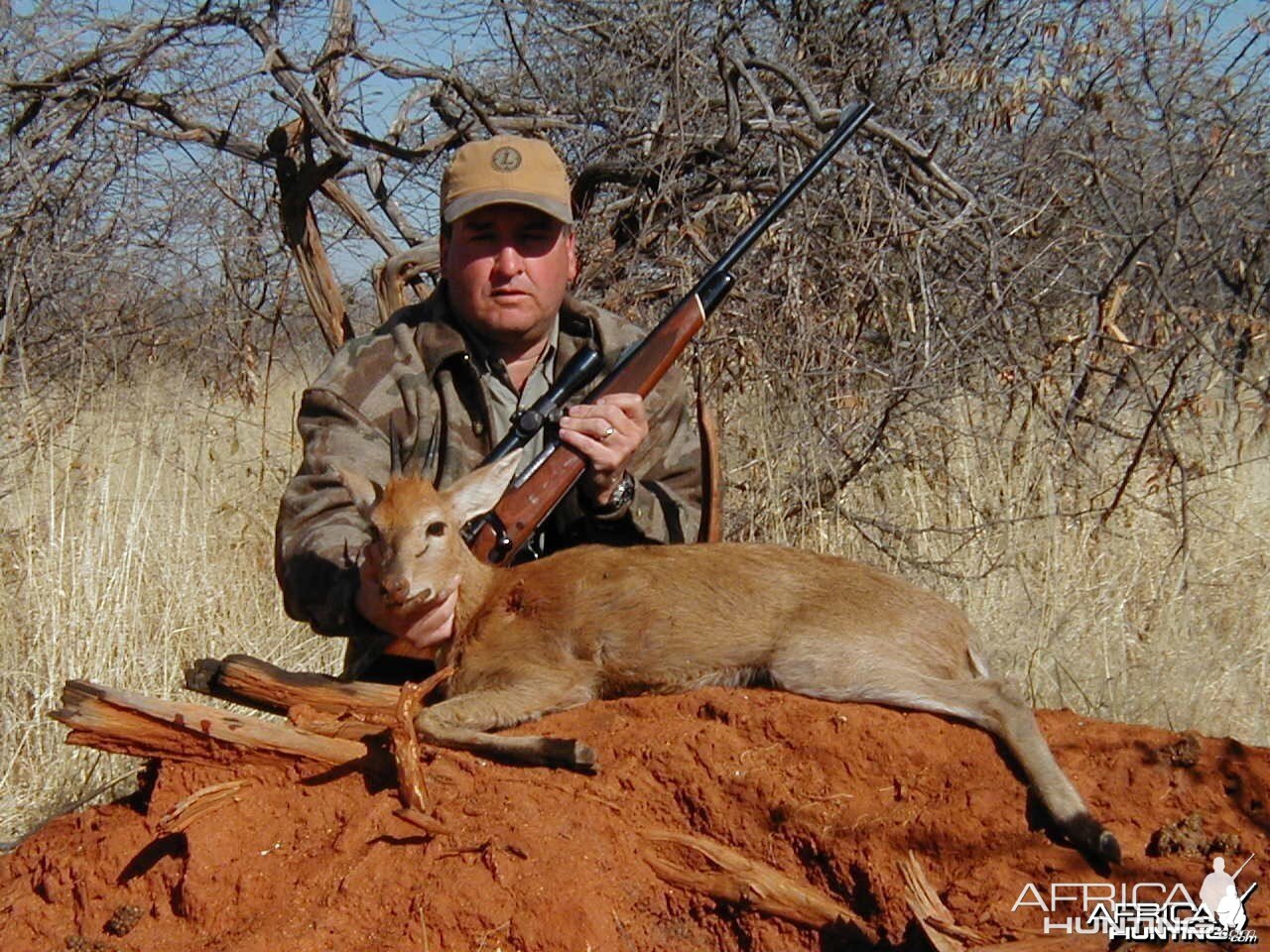 Gray Duiker Hunting in Namibia