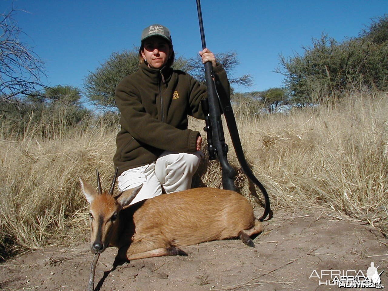 Gray Duiker Hunting in Namibia