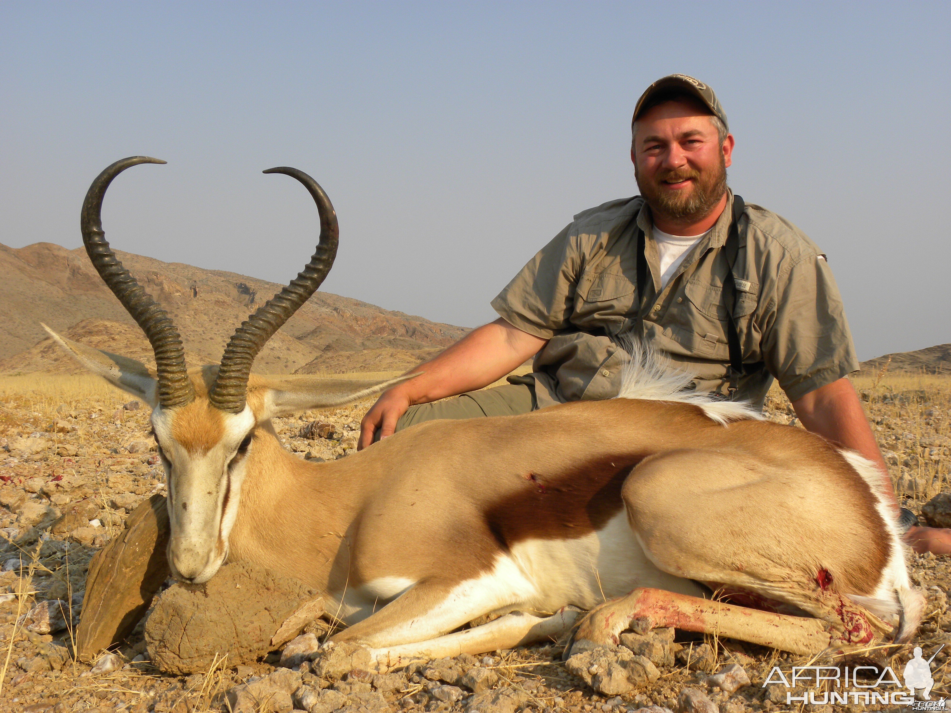 Great  17 1/4" Spring buck