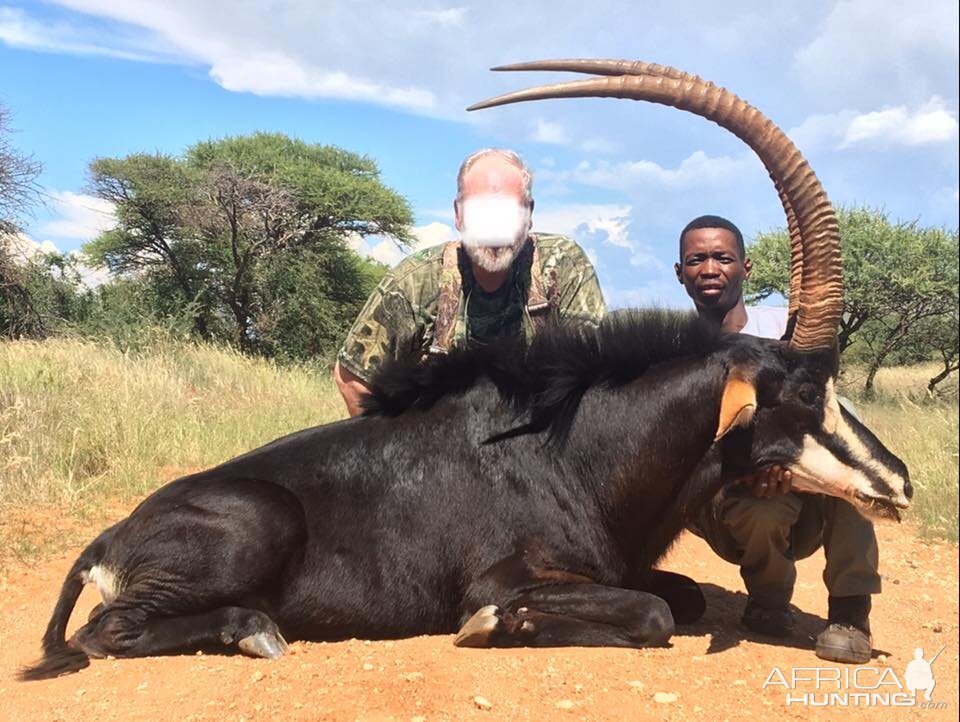 Great 45” Inch Sable Antelope Hunt in South Africa