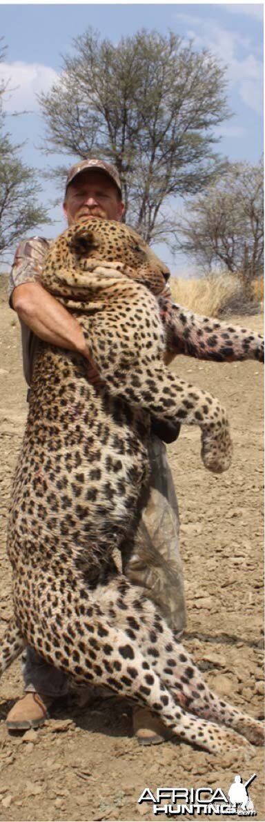 Great Leopard taken in Namibia