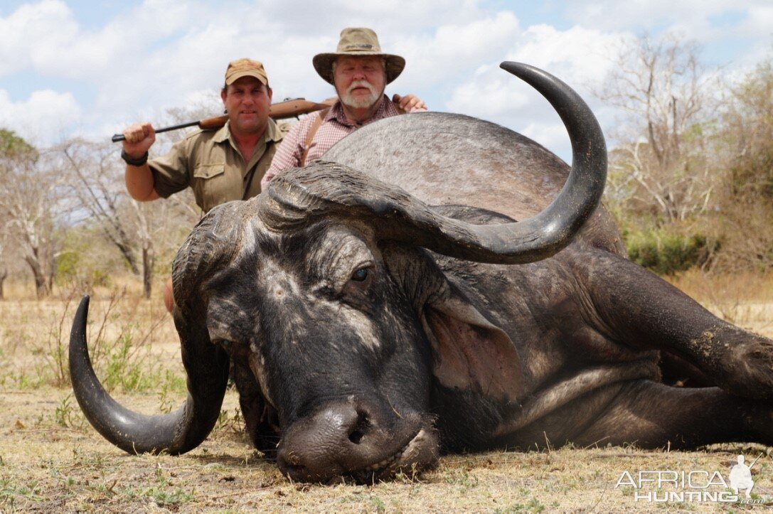 Great Old Dagga Boy Selous Game Reserve Tanzania