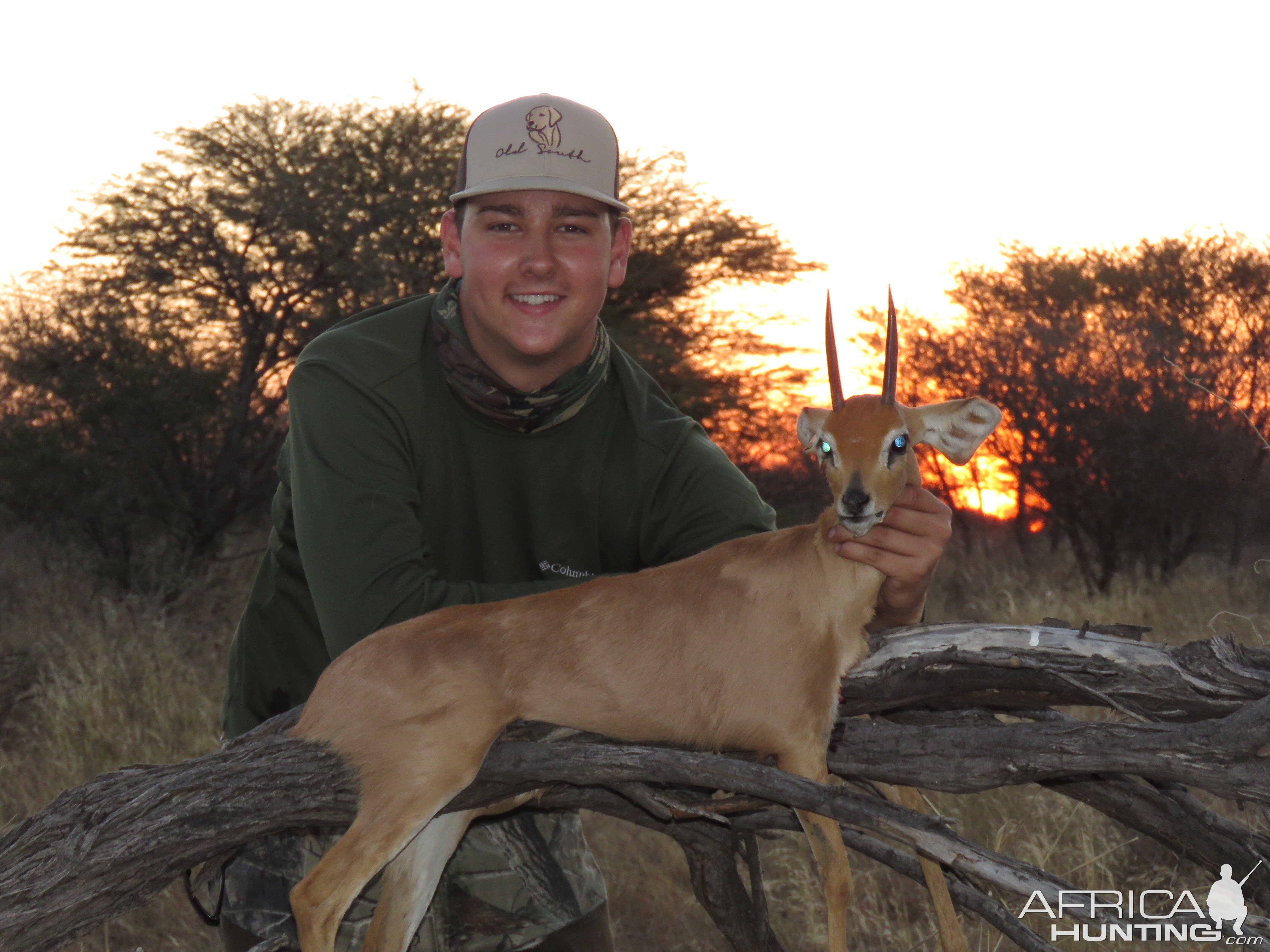 Great Steenbok