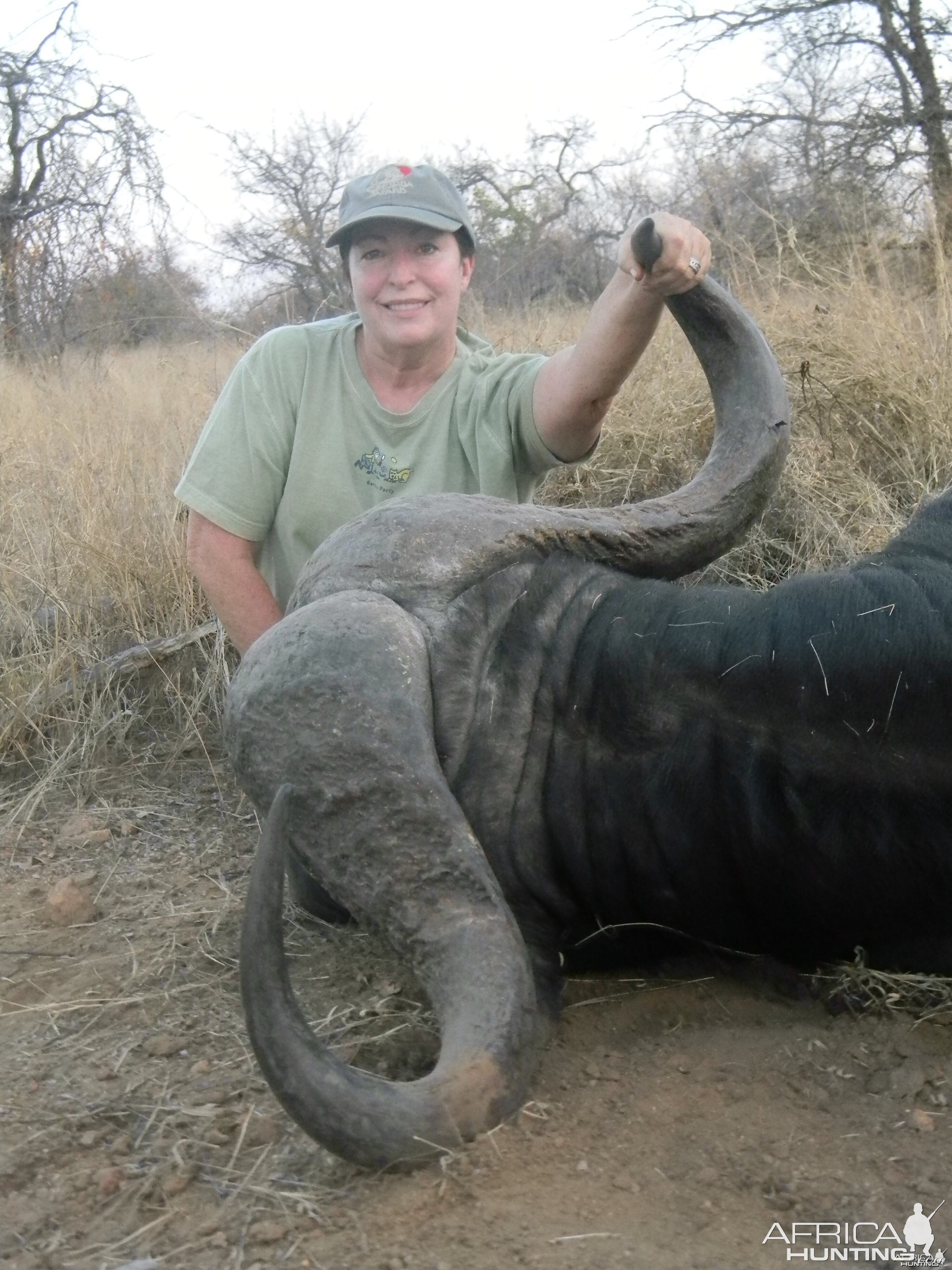 Greater Kruger Buffalo