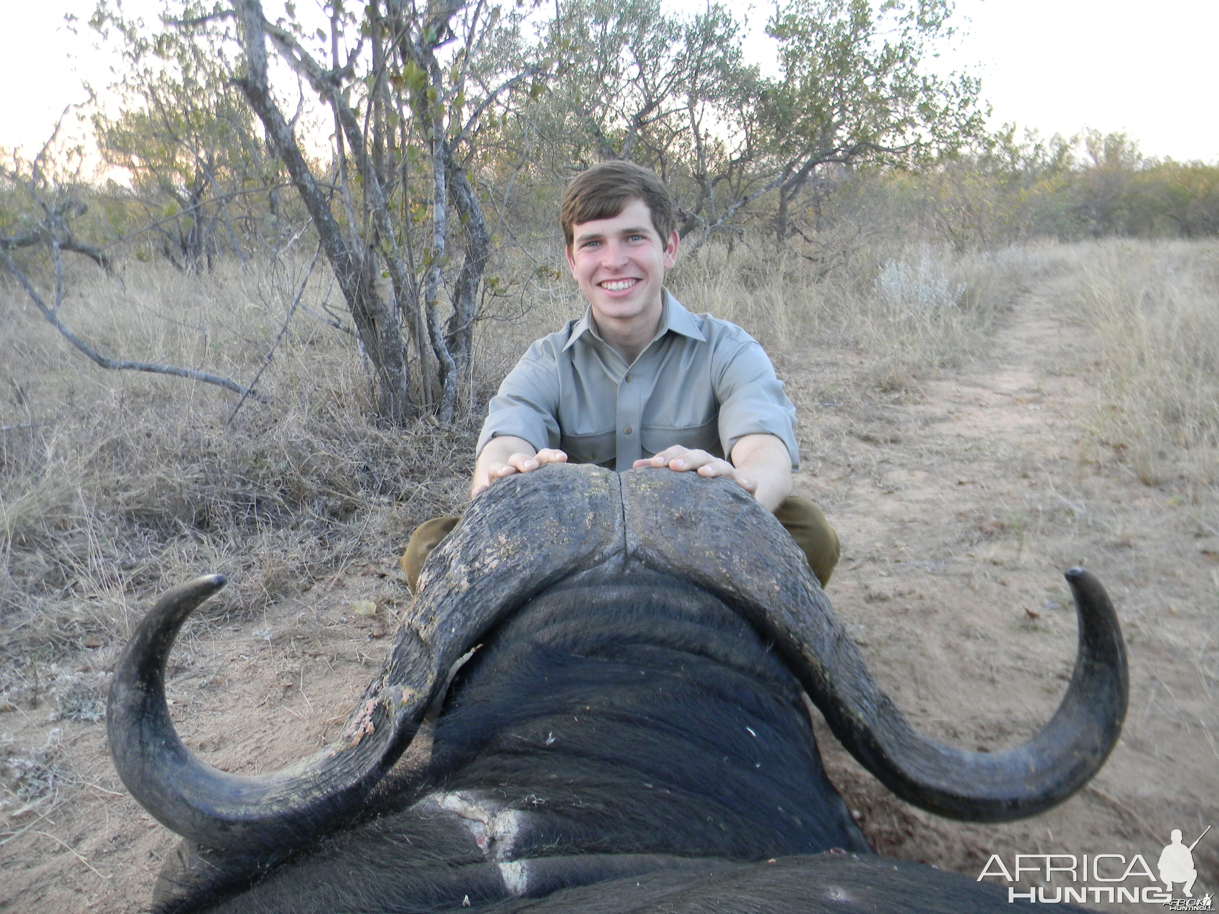 Greater Kruger Buffalo