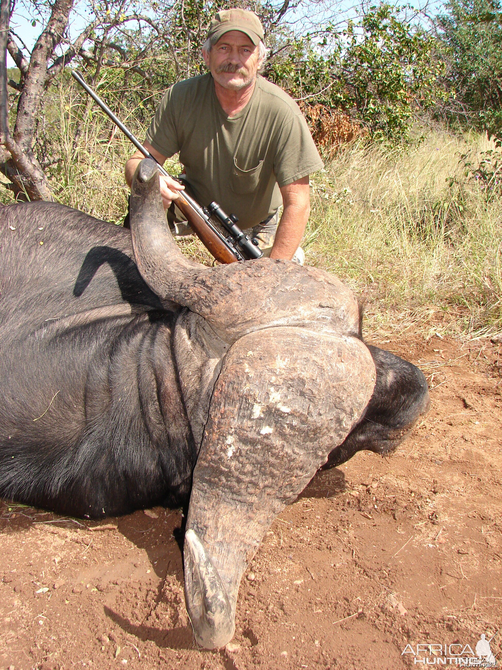 Greater Kruger Buffalo