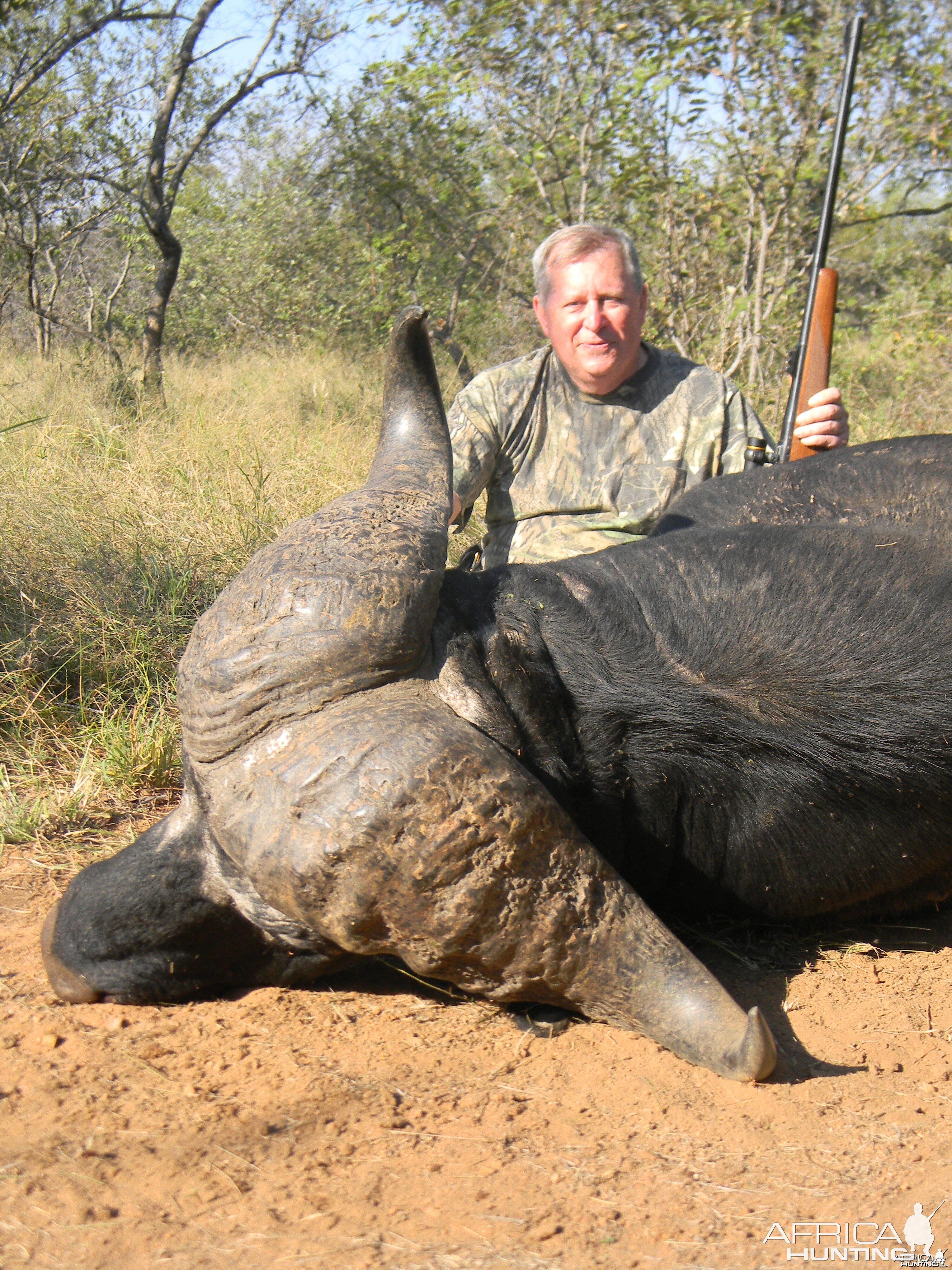 Greater Kruger Buffalo