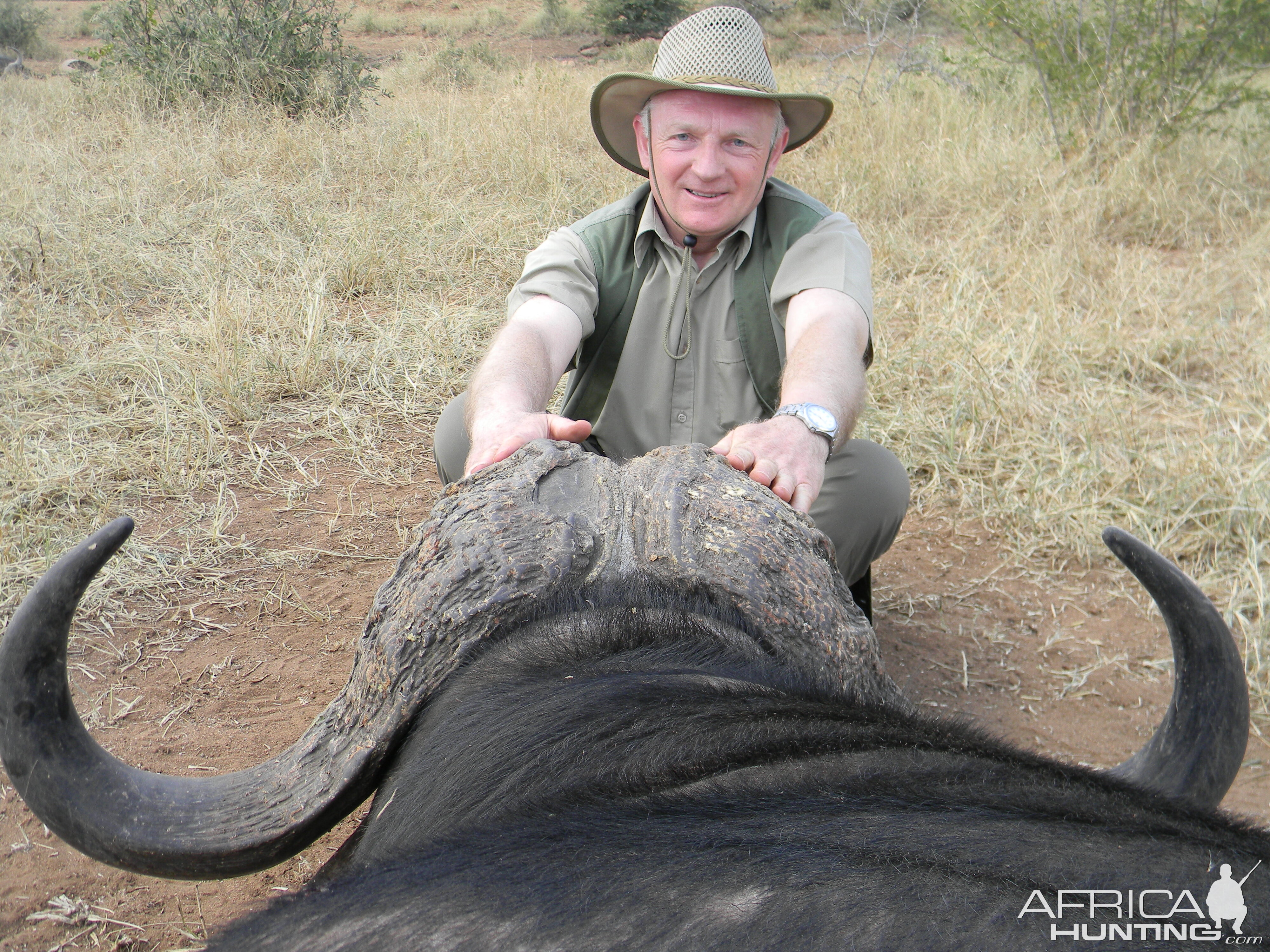 Greater Kruger Buffalo