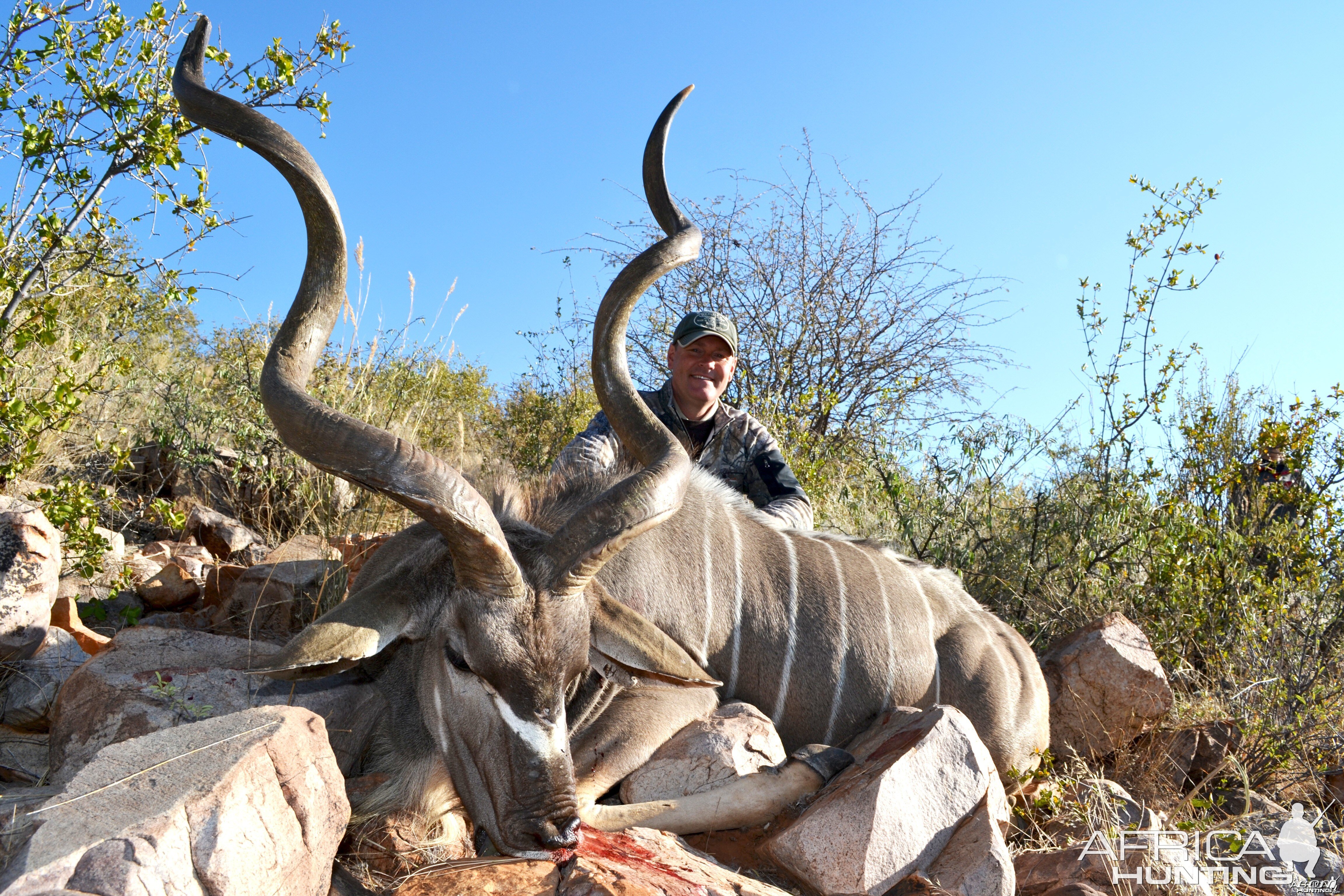 Greater Kudu - 56"