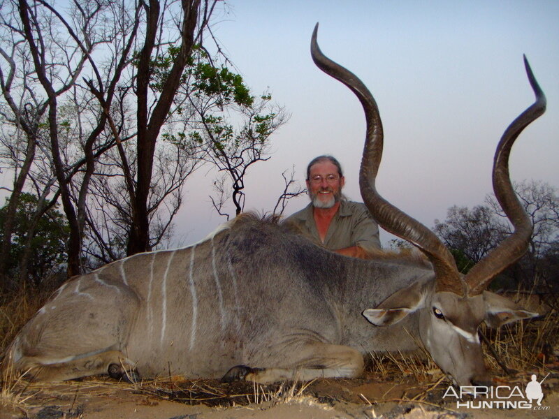 Greater kudu 57" plus