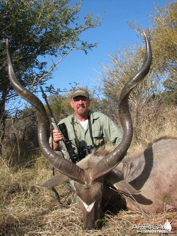 Greater Kudu Bull Limpopo River Area SA