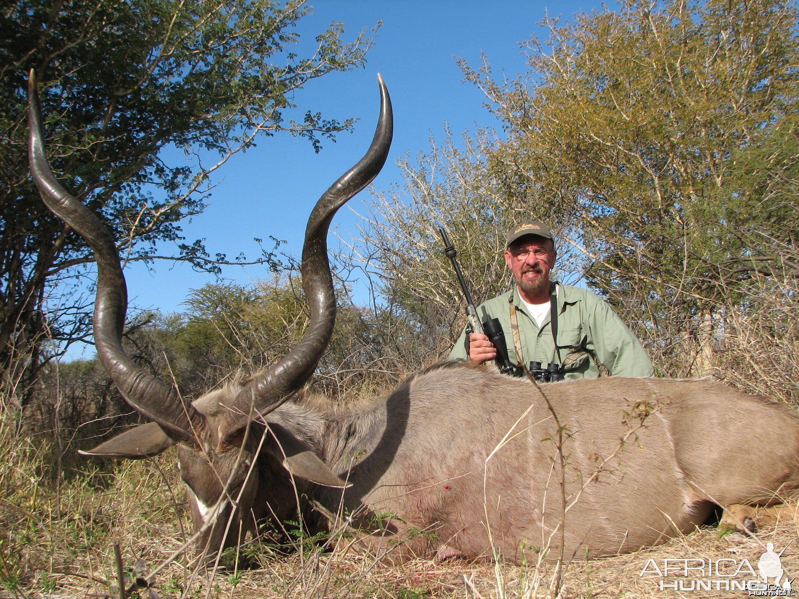 Greater Kudu Bull Limpopo River area SA