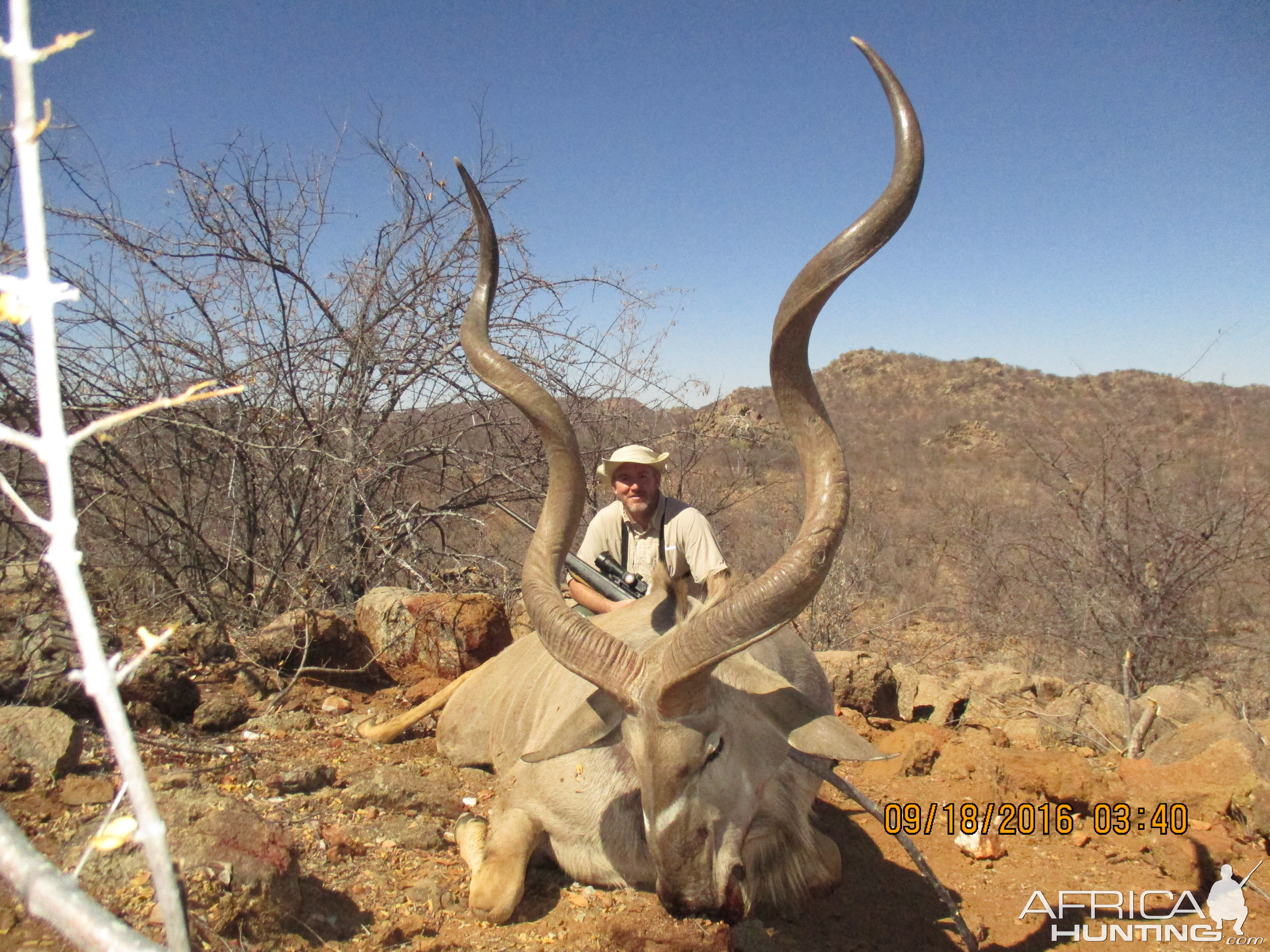 Greater Kudu Hunt Namibia