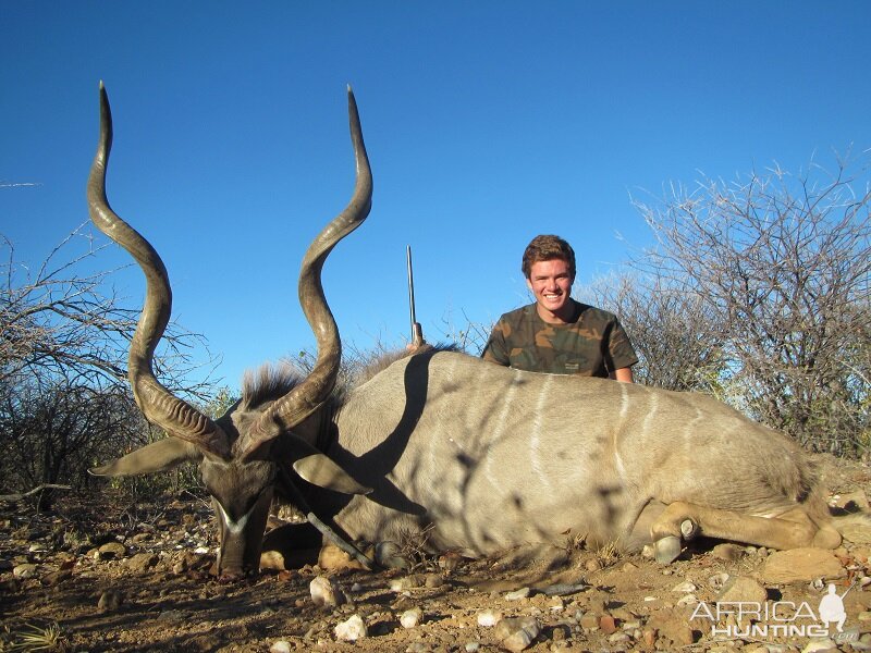 Greater Kudu Hunt Namibia