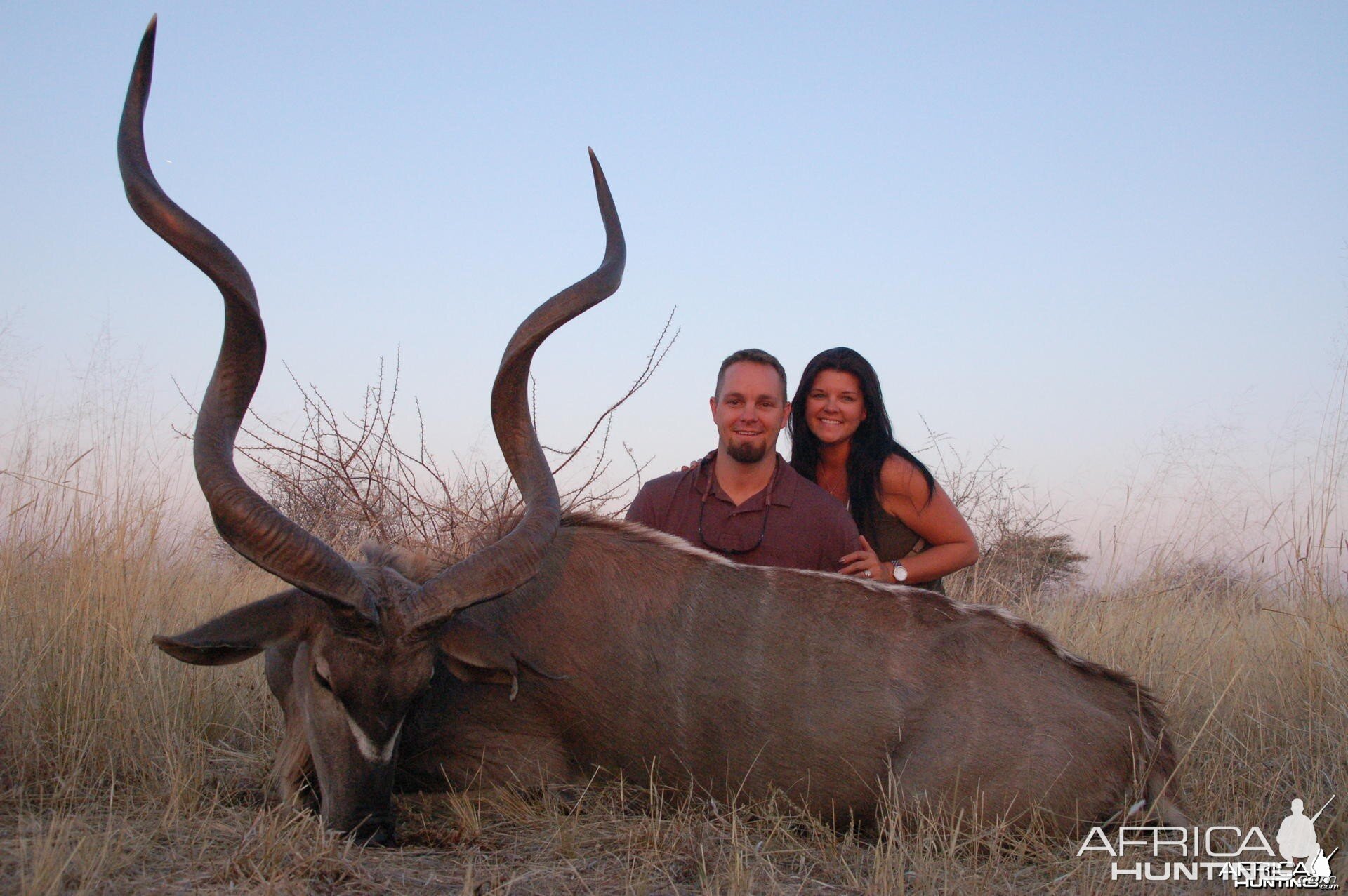 Greater Kudu hunted in Namibia