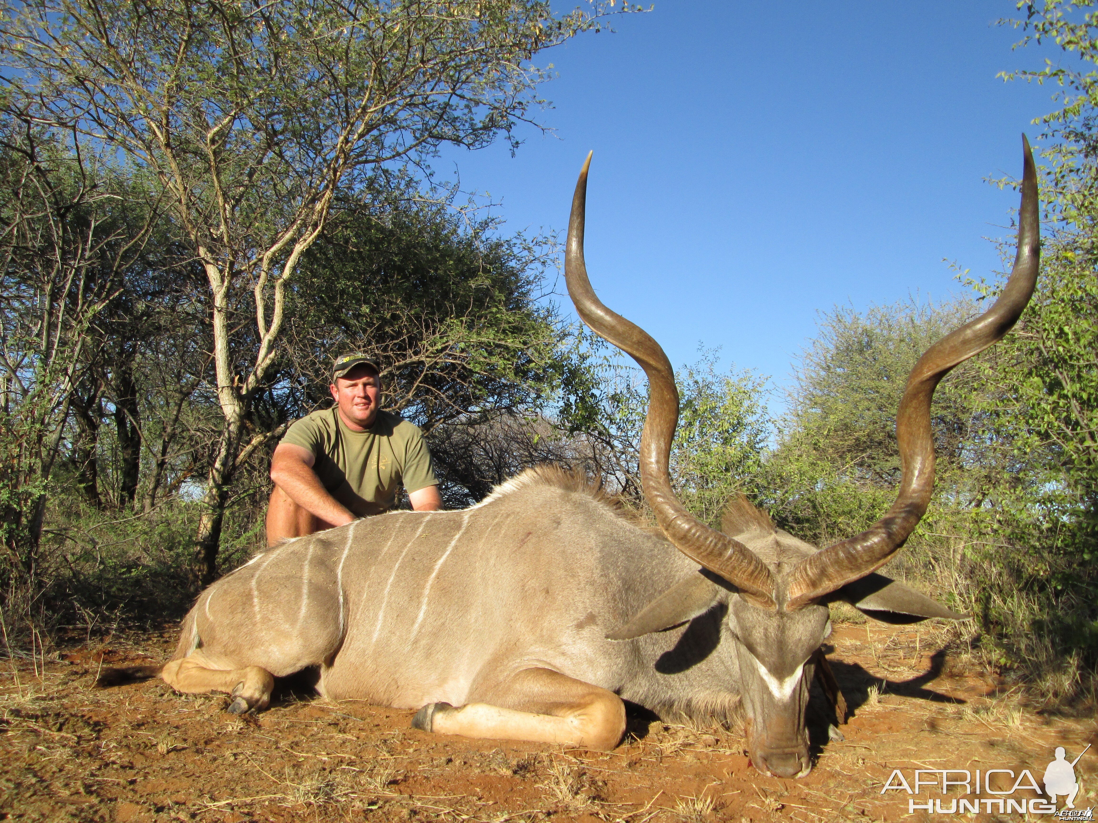 Greater Kudu hunted with Ozondjahe Hunting Safaris in Namibia