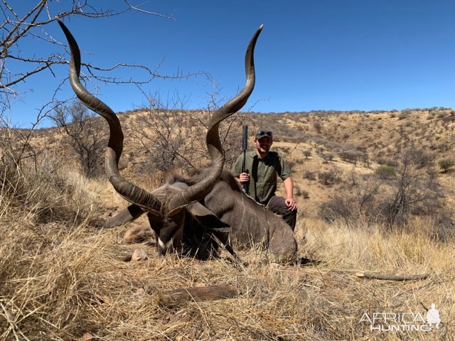 Greater Kudu Hunting Namibia