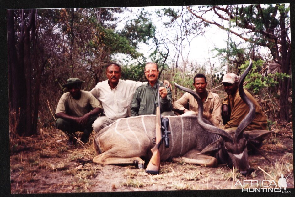 Greater Kudu Hunting