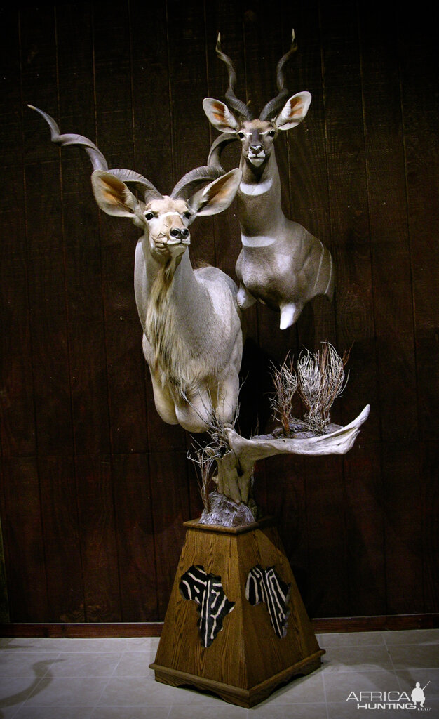 Greater Kudu & Lesser Kudu Pedestal Mount